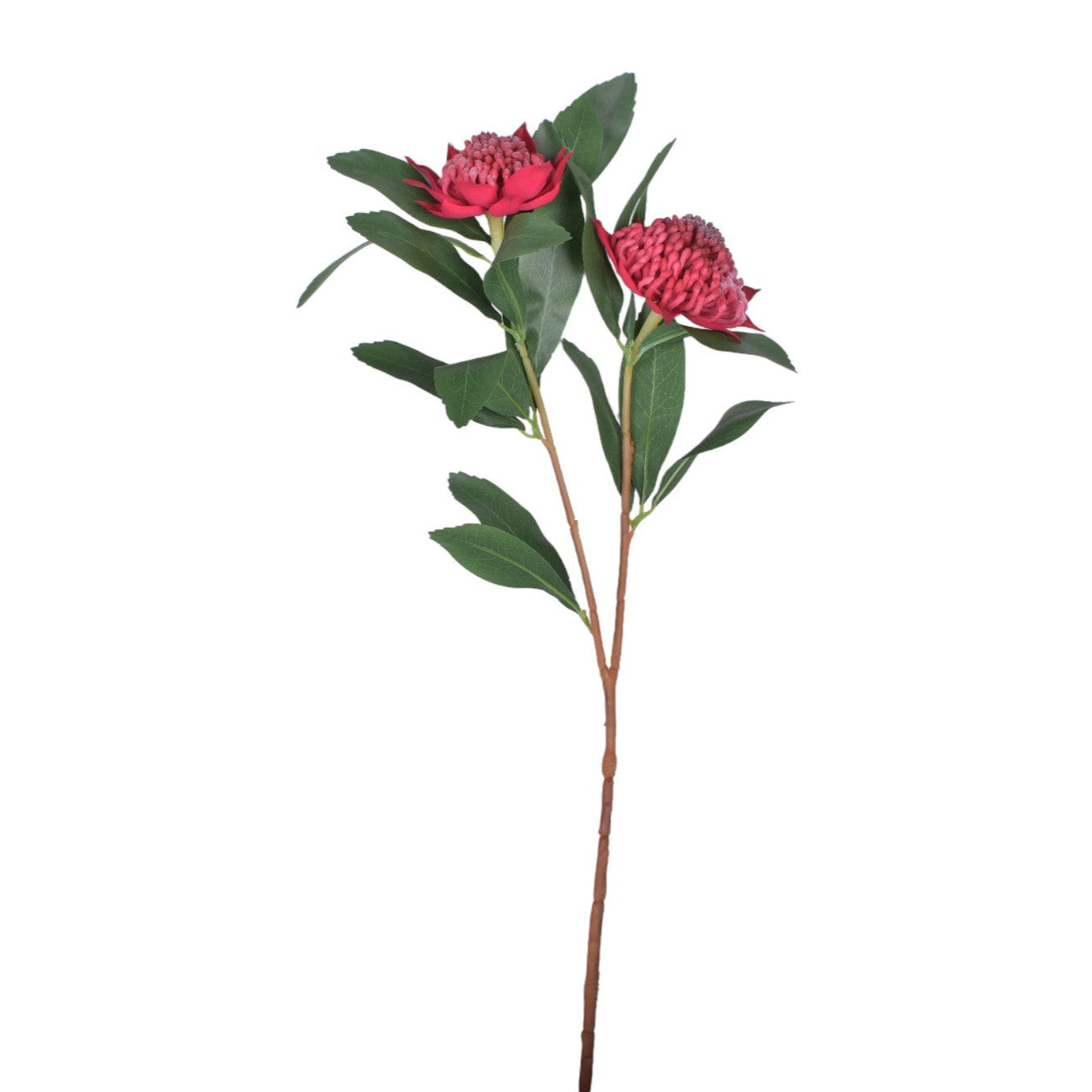 34" Waratah Flower-Red UV Protected FL1054UV