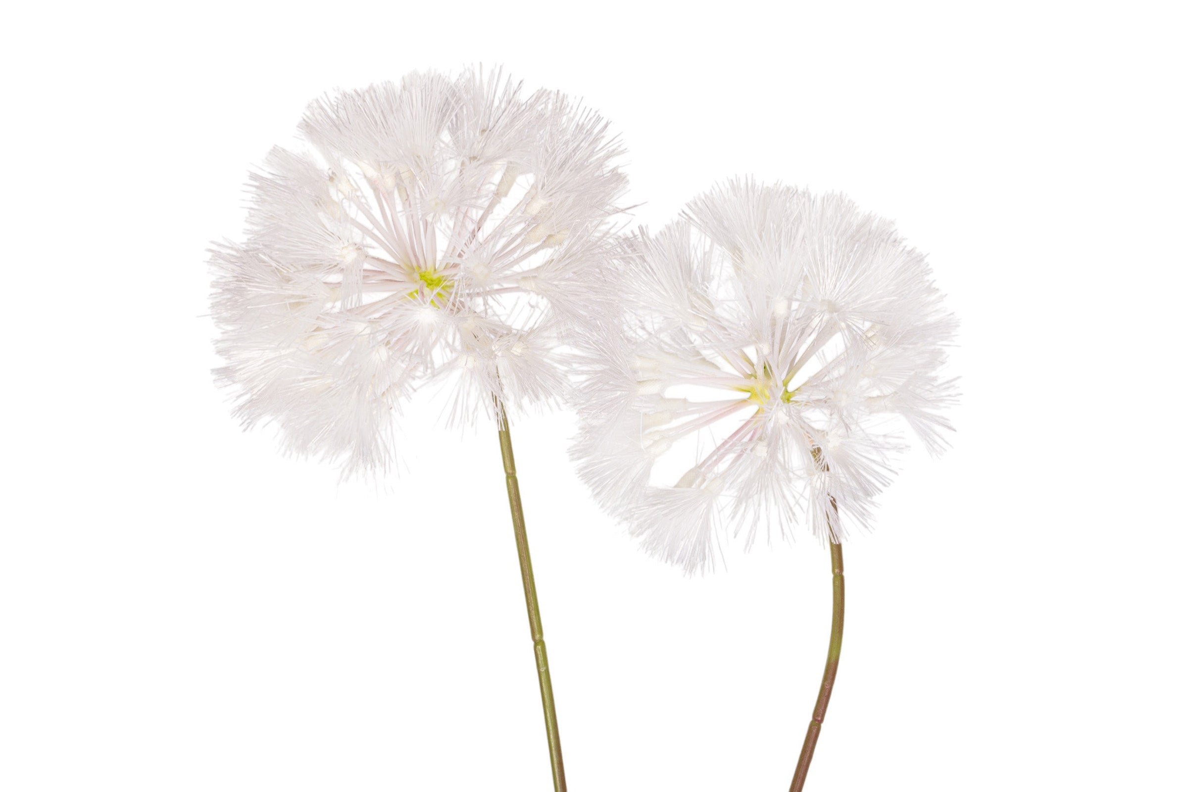 45" Dandelion Stem FL1068