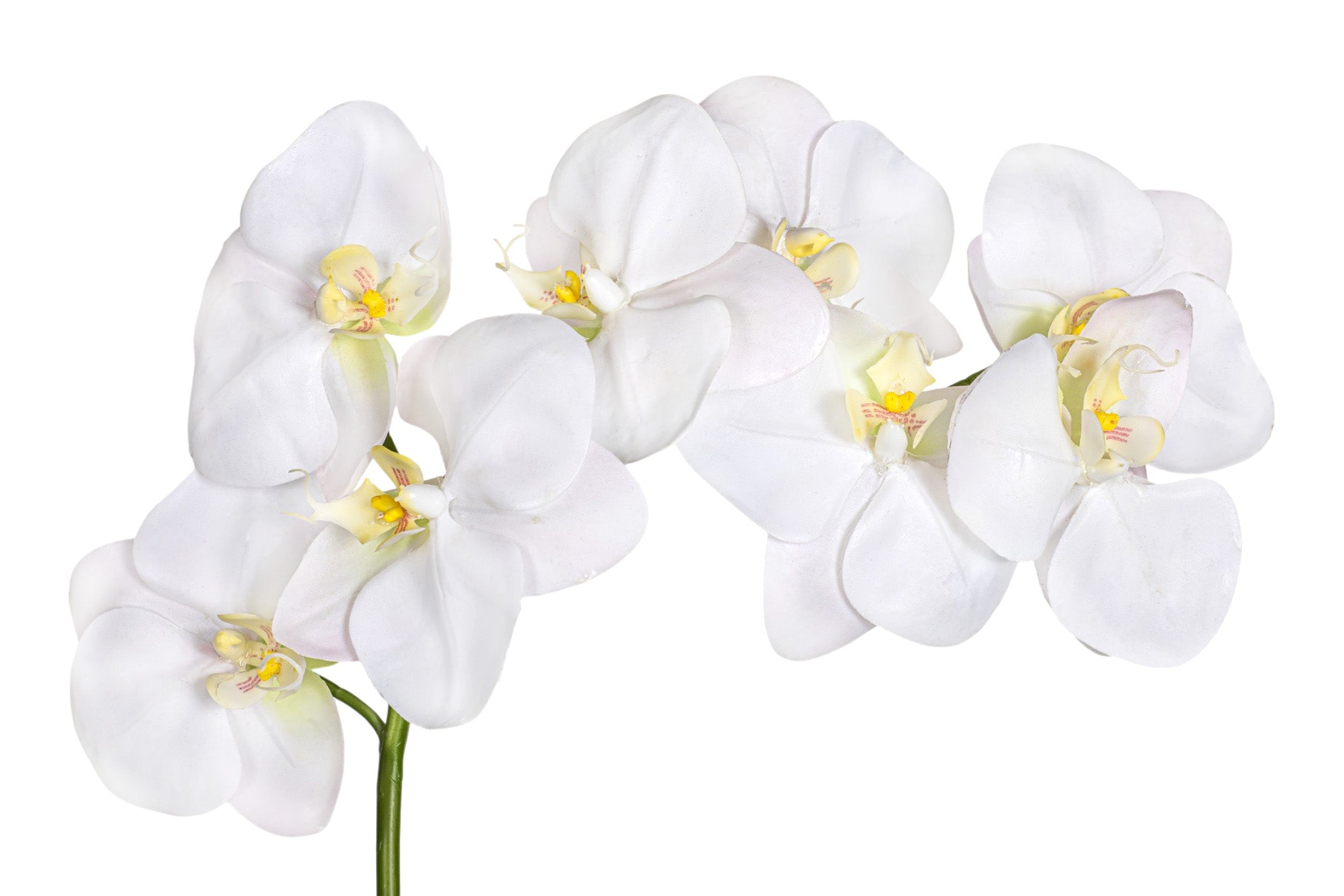37" Orchid Stem FL1072