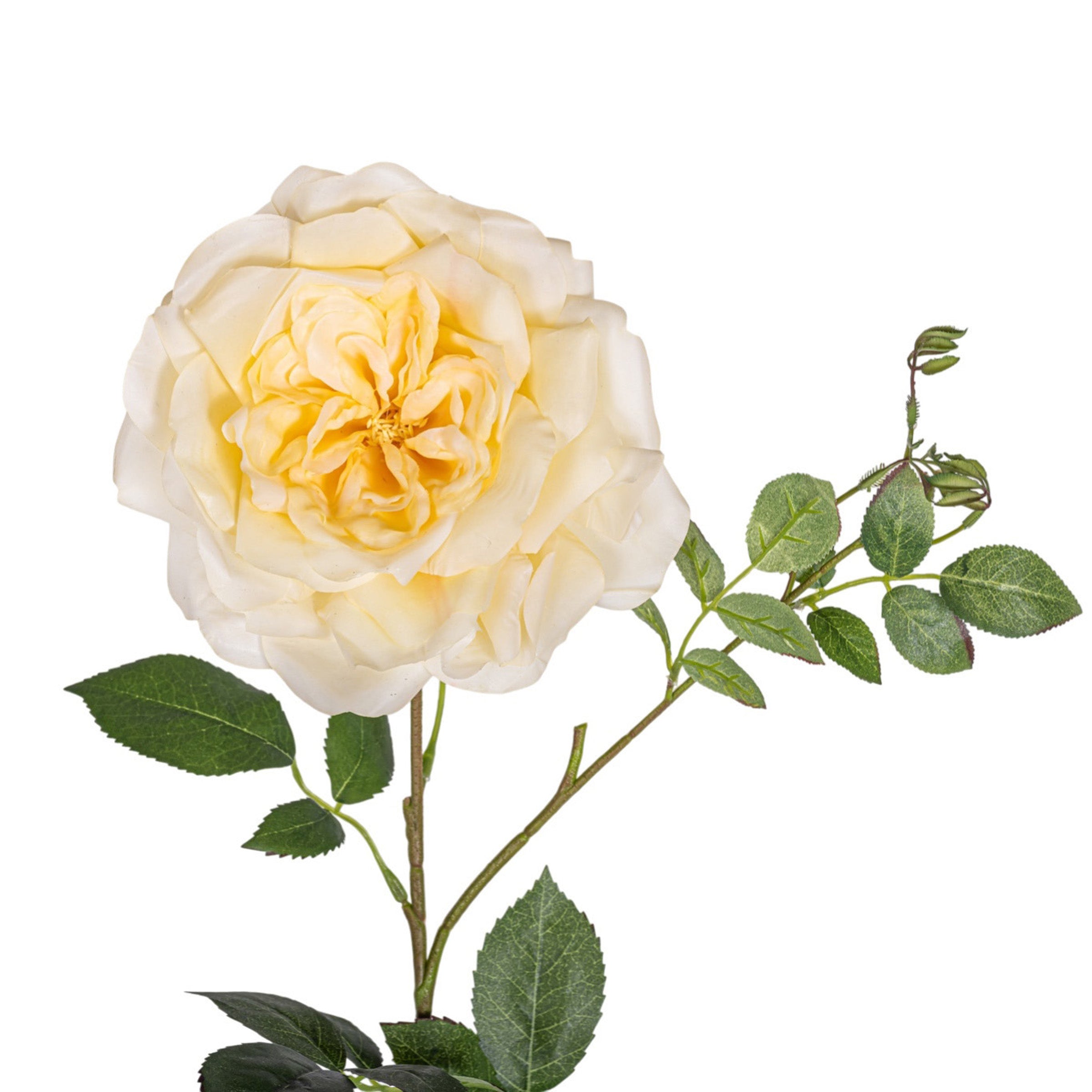 38" Rose Stem FL1073