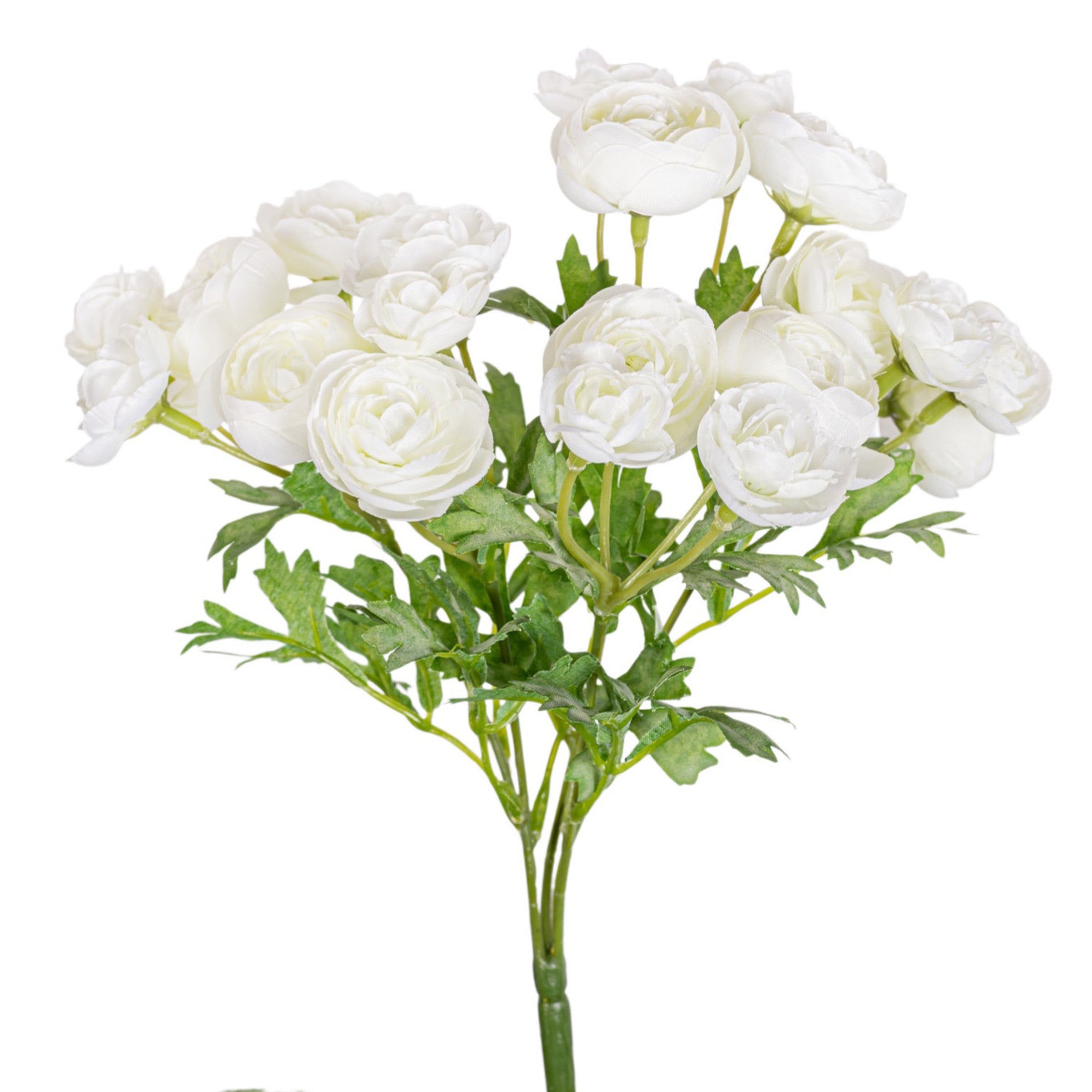 10.5" Mini Ranunculus Stem FL1075