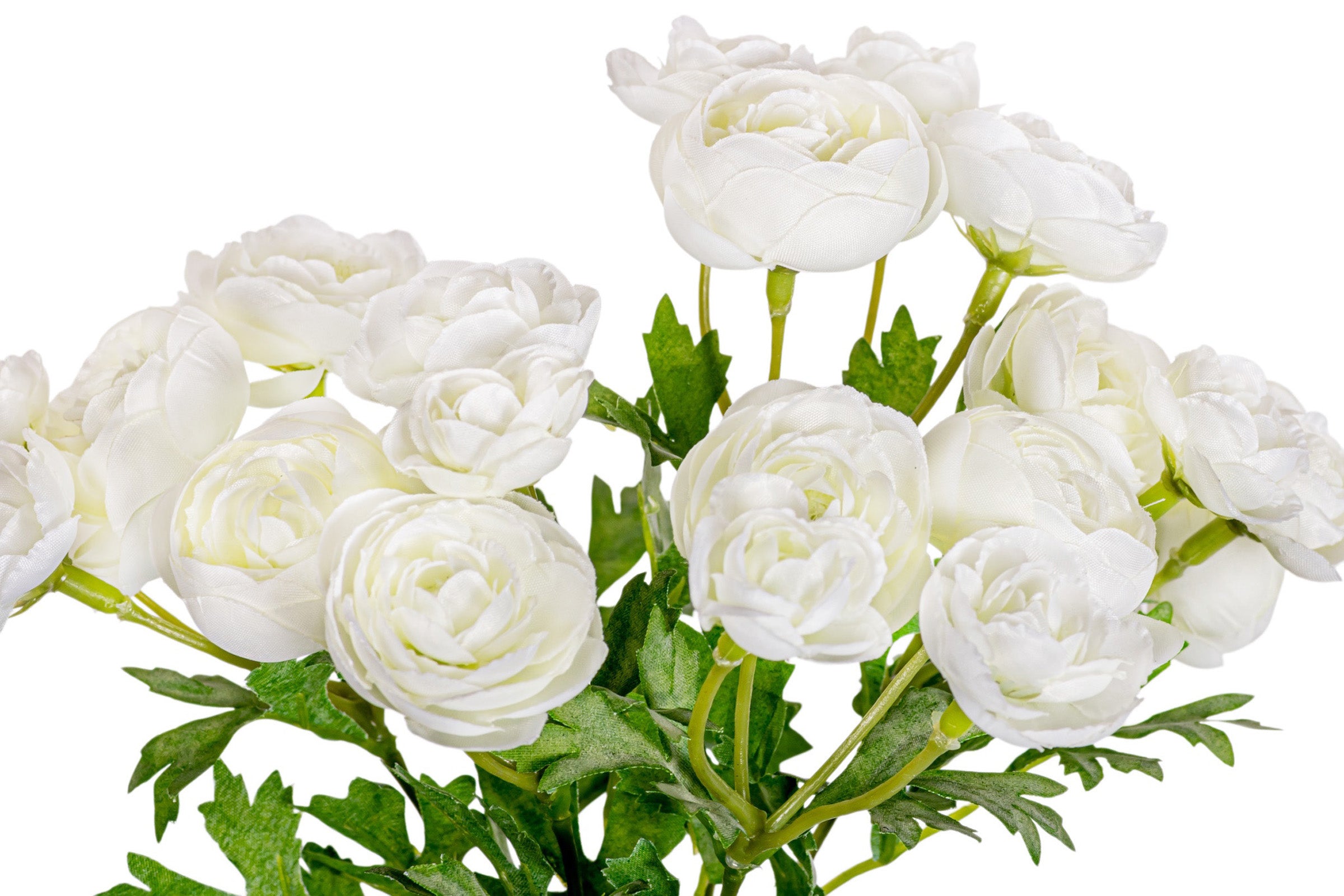 10.5" Mini Ranunculus Stem FL1075