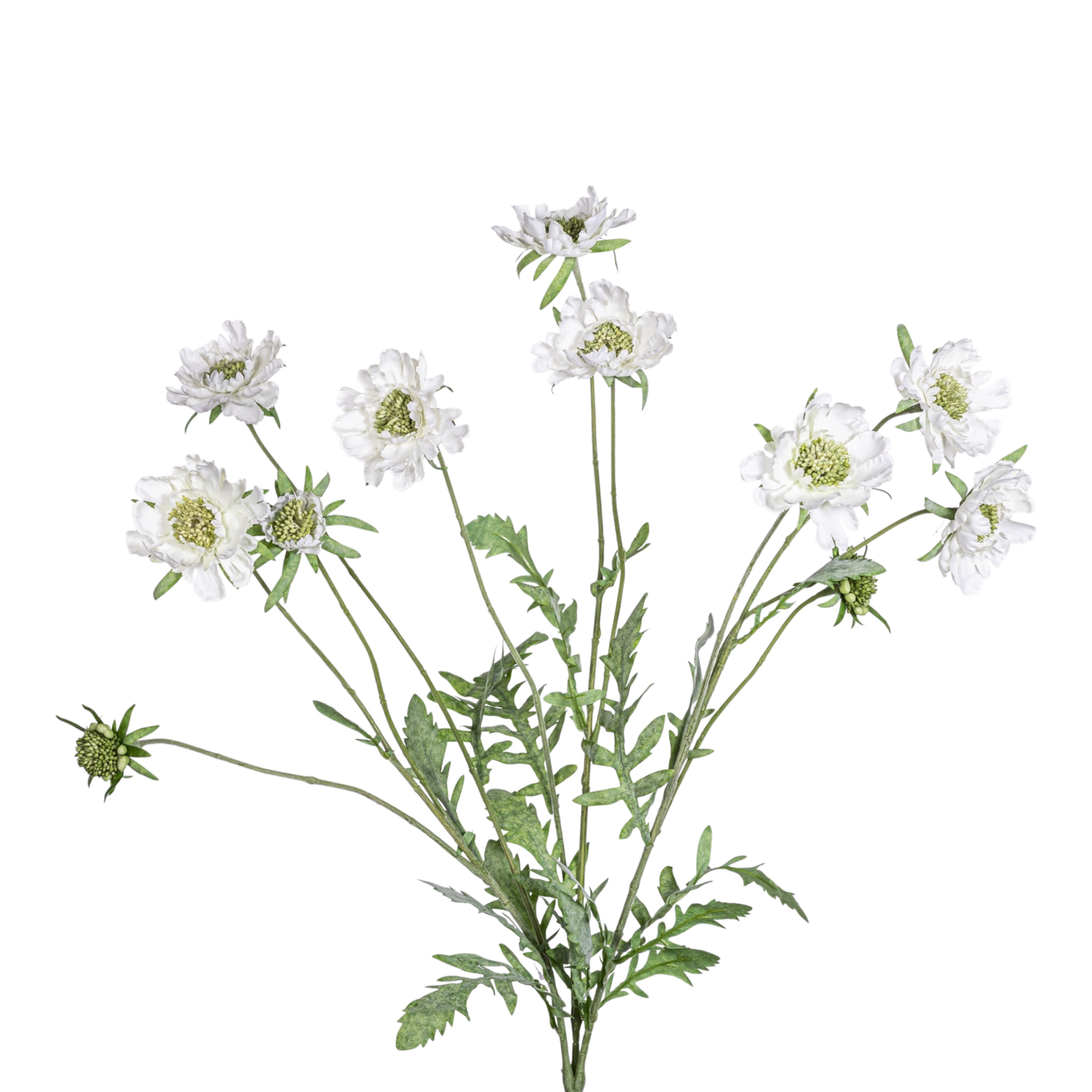 25" Pincushion Flower Spray FL1080