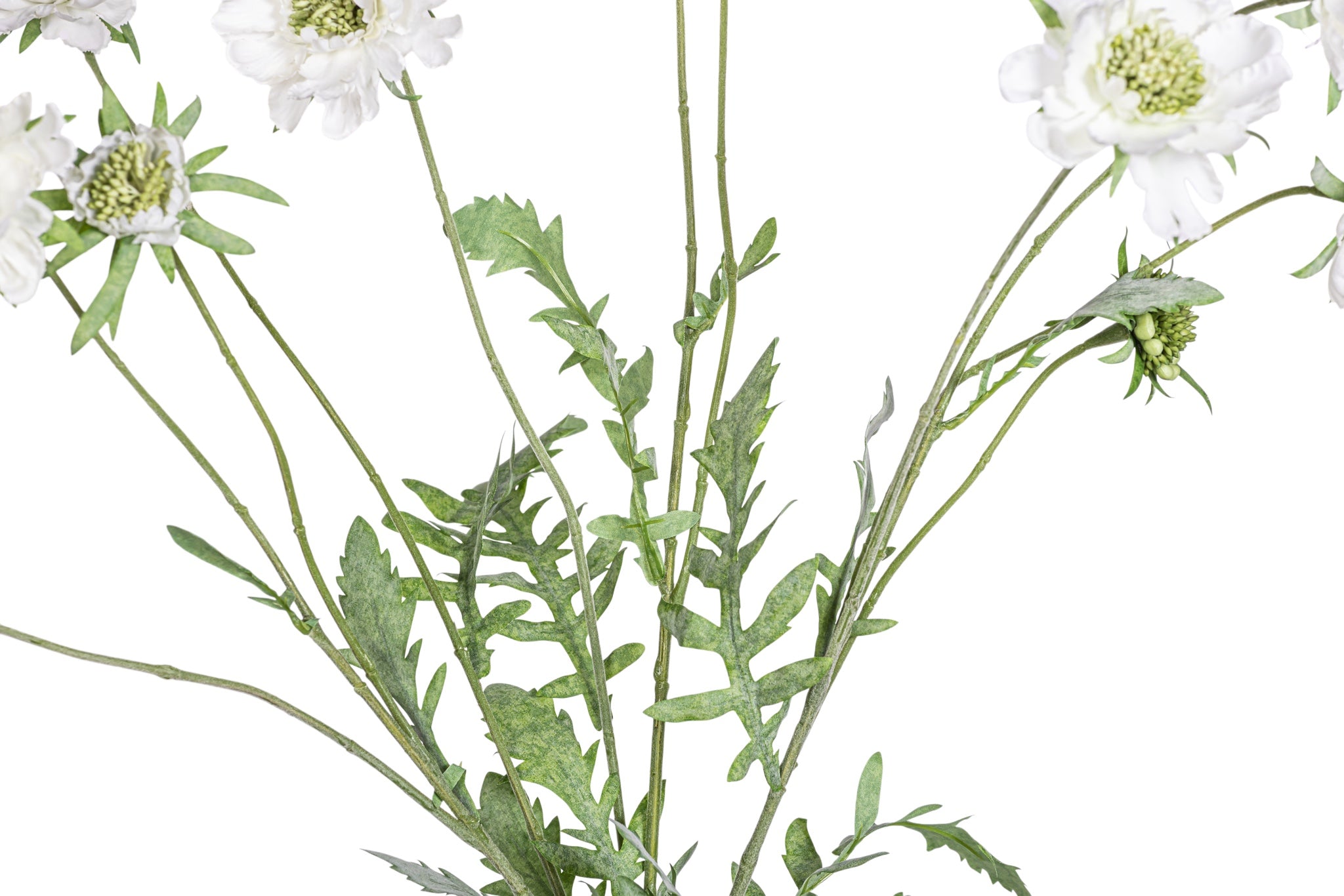 25" Scabiosa Flower Spray FL1080