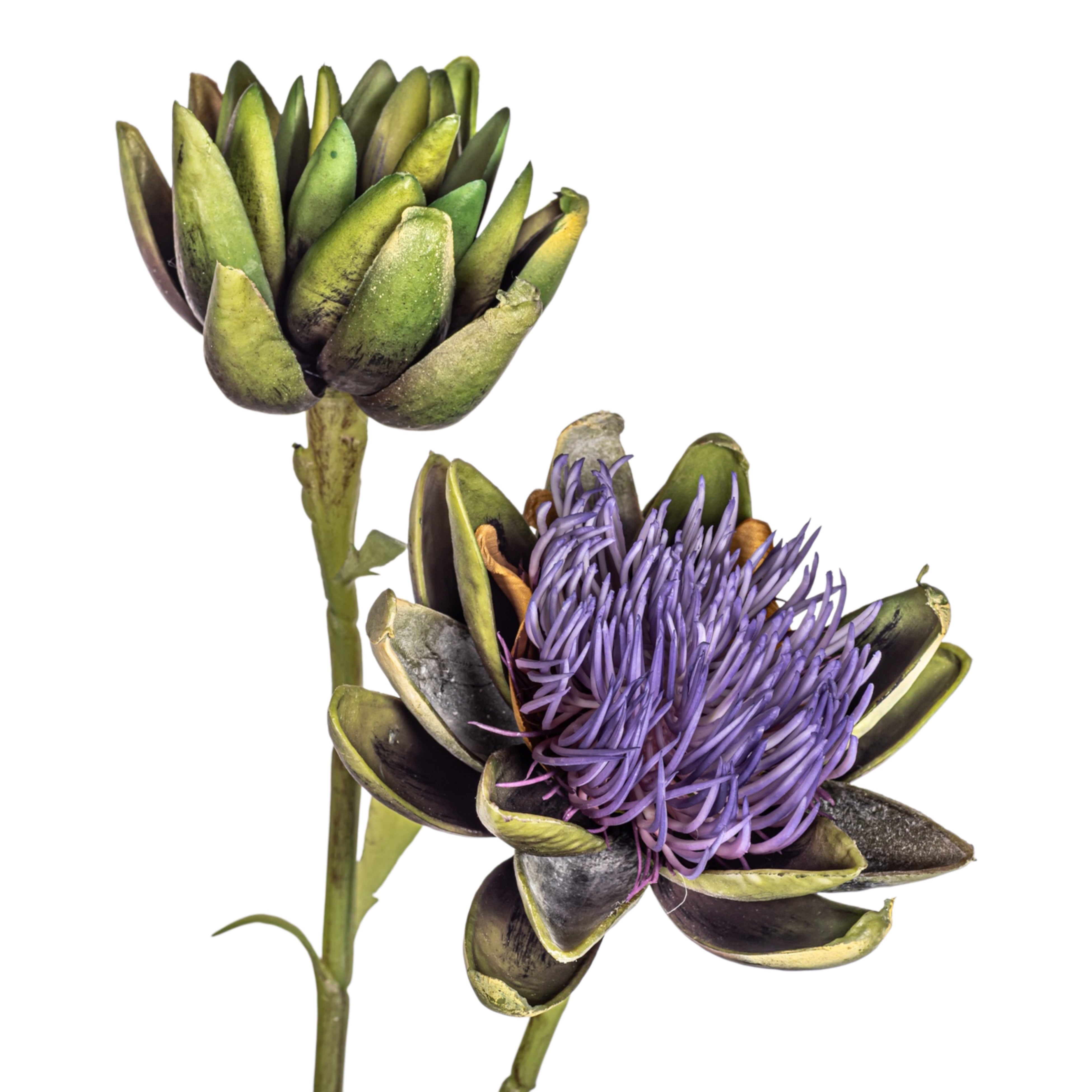 32" Artichoke Flower Stem FL1083