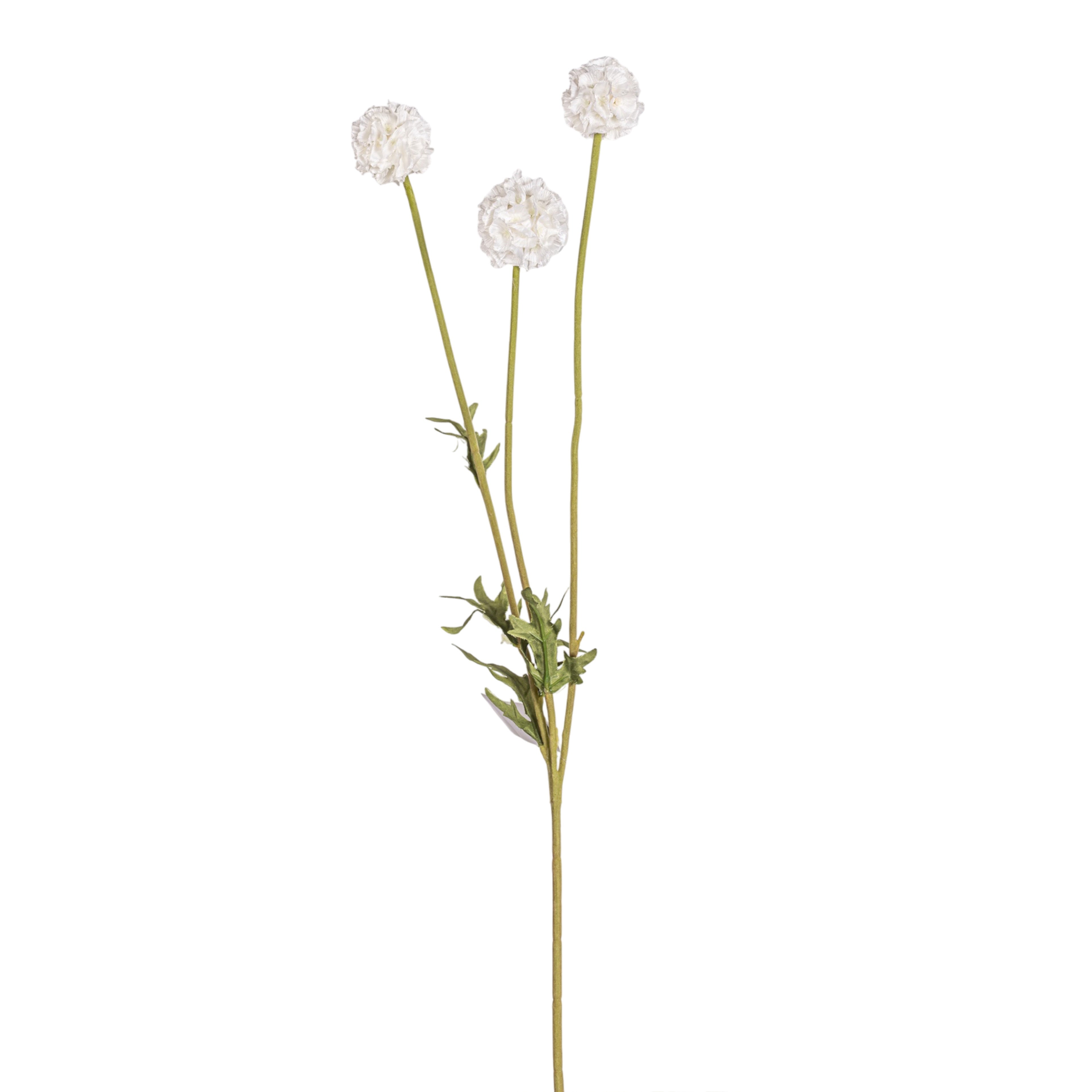 24" Pincushion Flower Stem FL1085