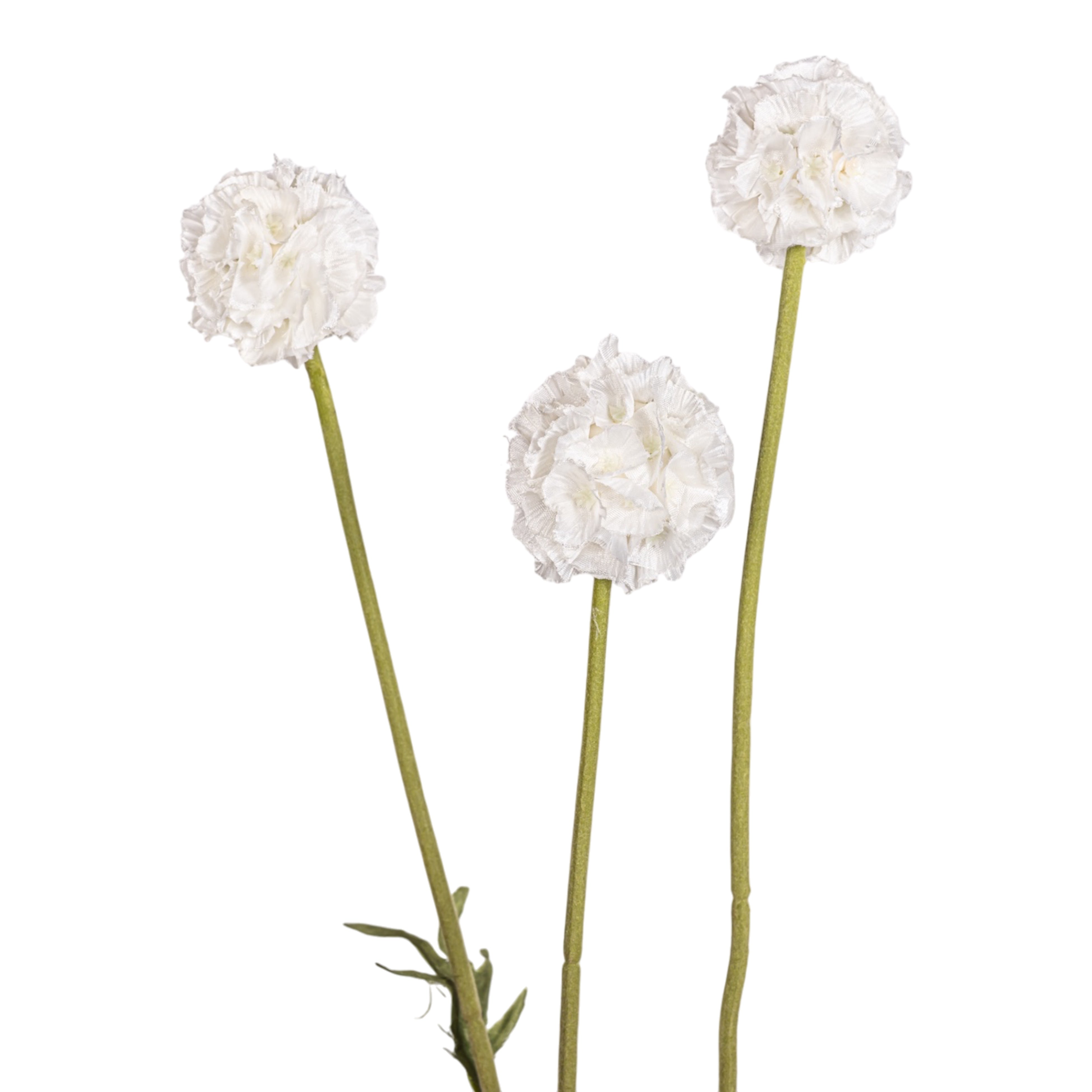 24" Pincushion Flower Stem FL1085