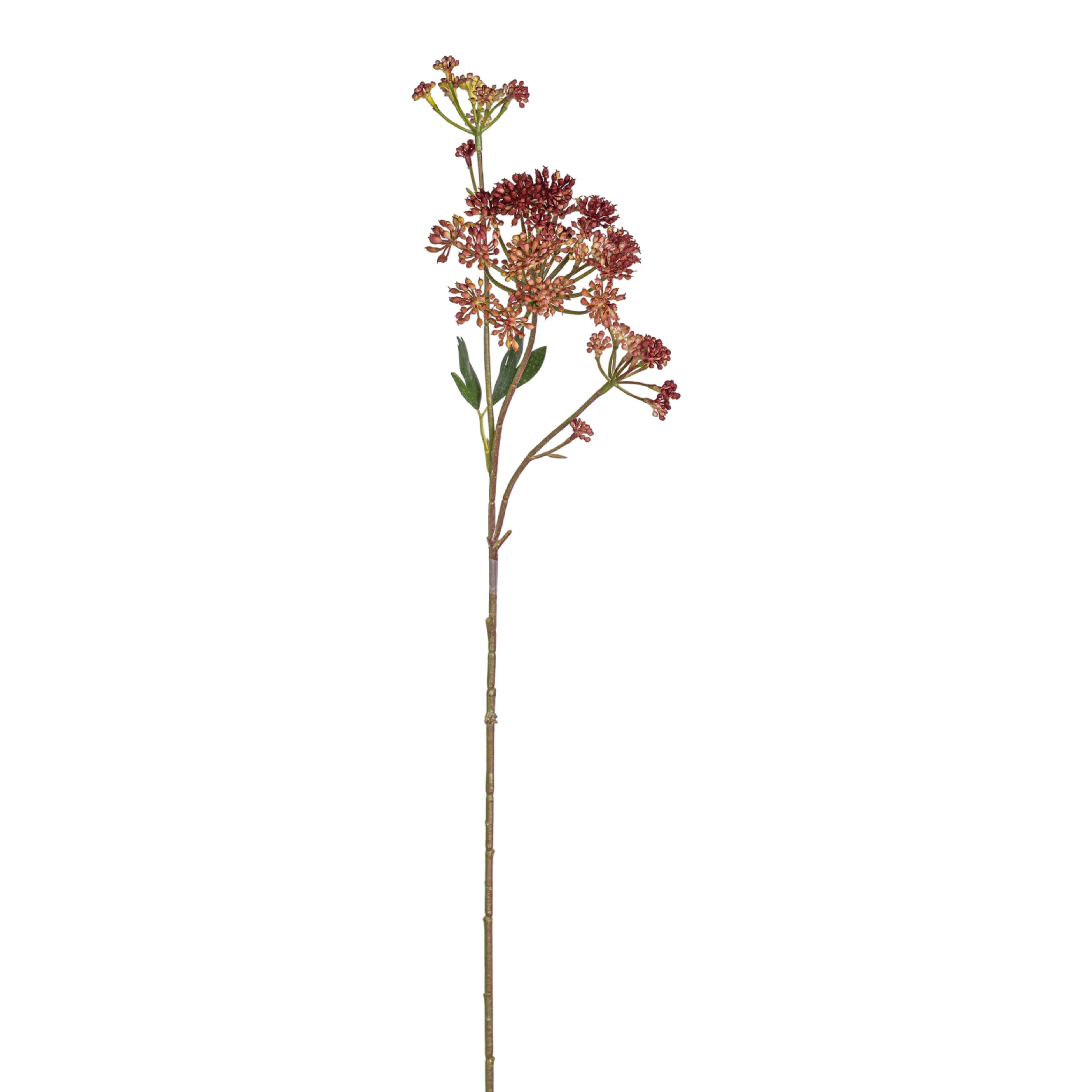 24.5" Angelica Flower Stem FL1088
