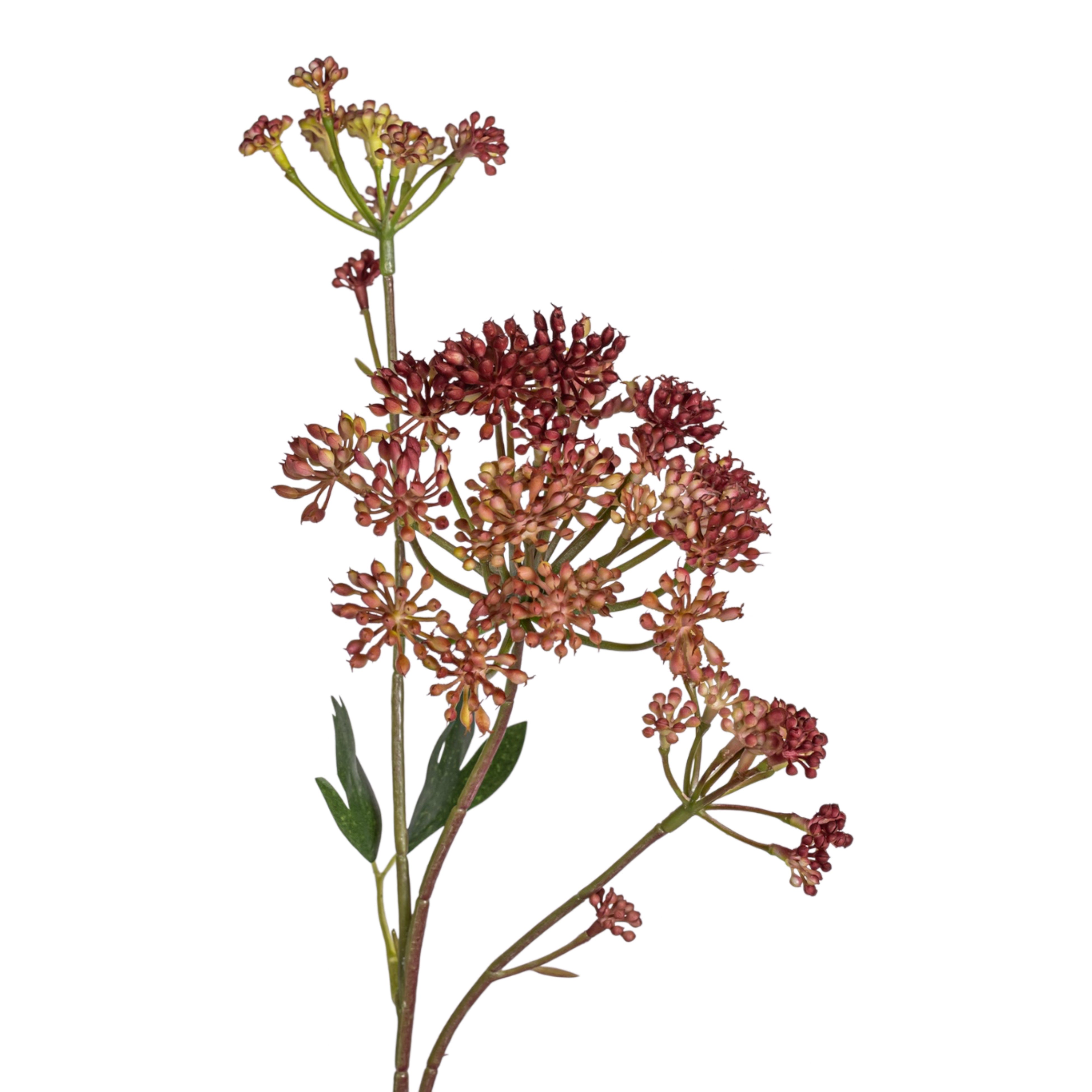 24.5" Angelica Flower Stem FL1088