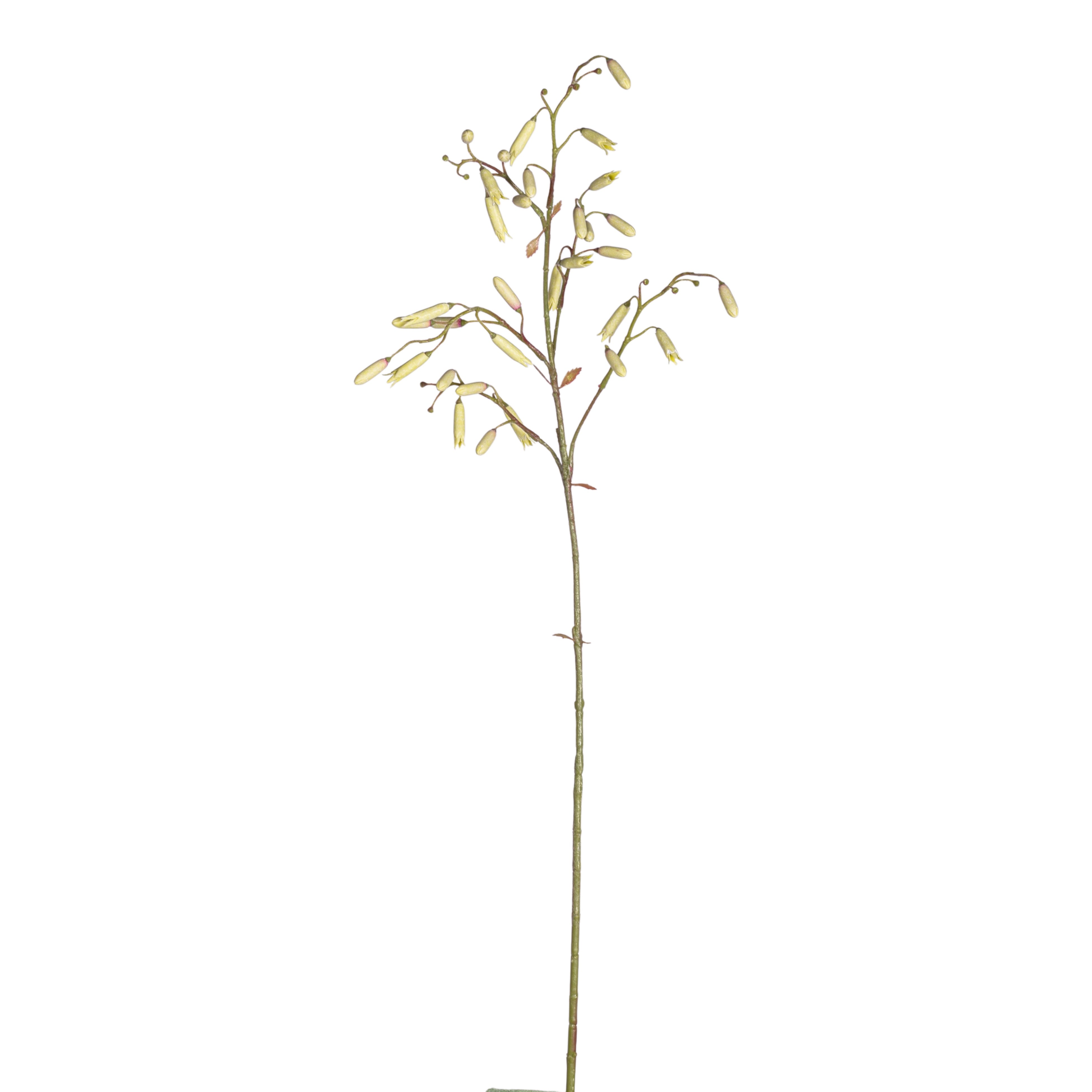 40" Magic Bell Stem FL1089