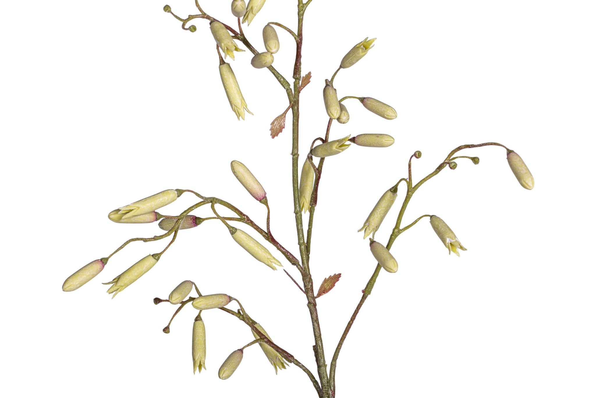 40" Magic Bell Stem FL1089