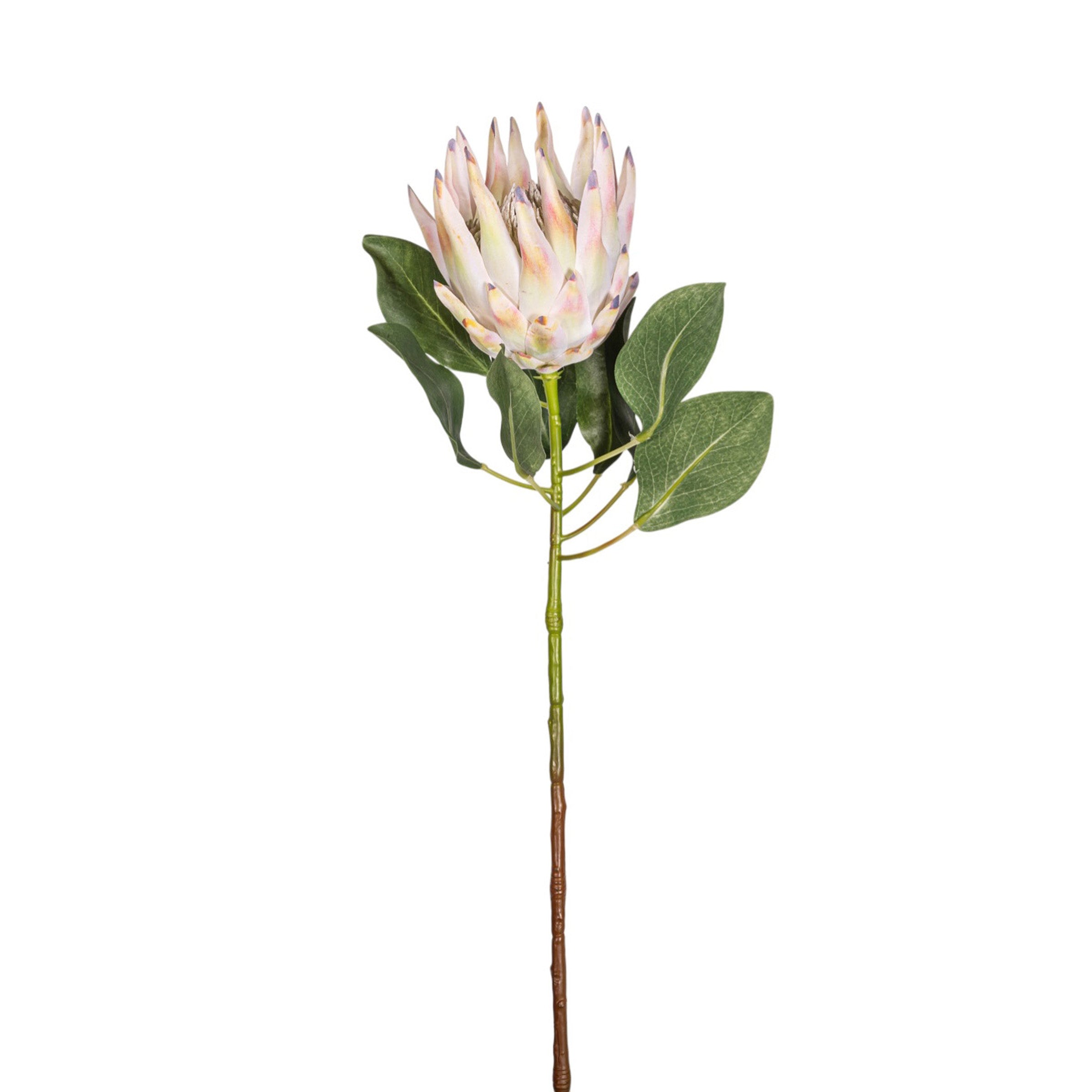 29" King Protea Stem FL1090