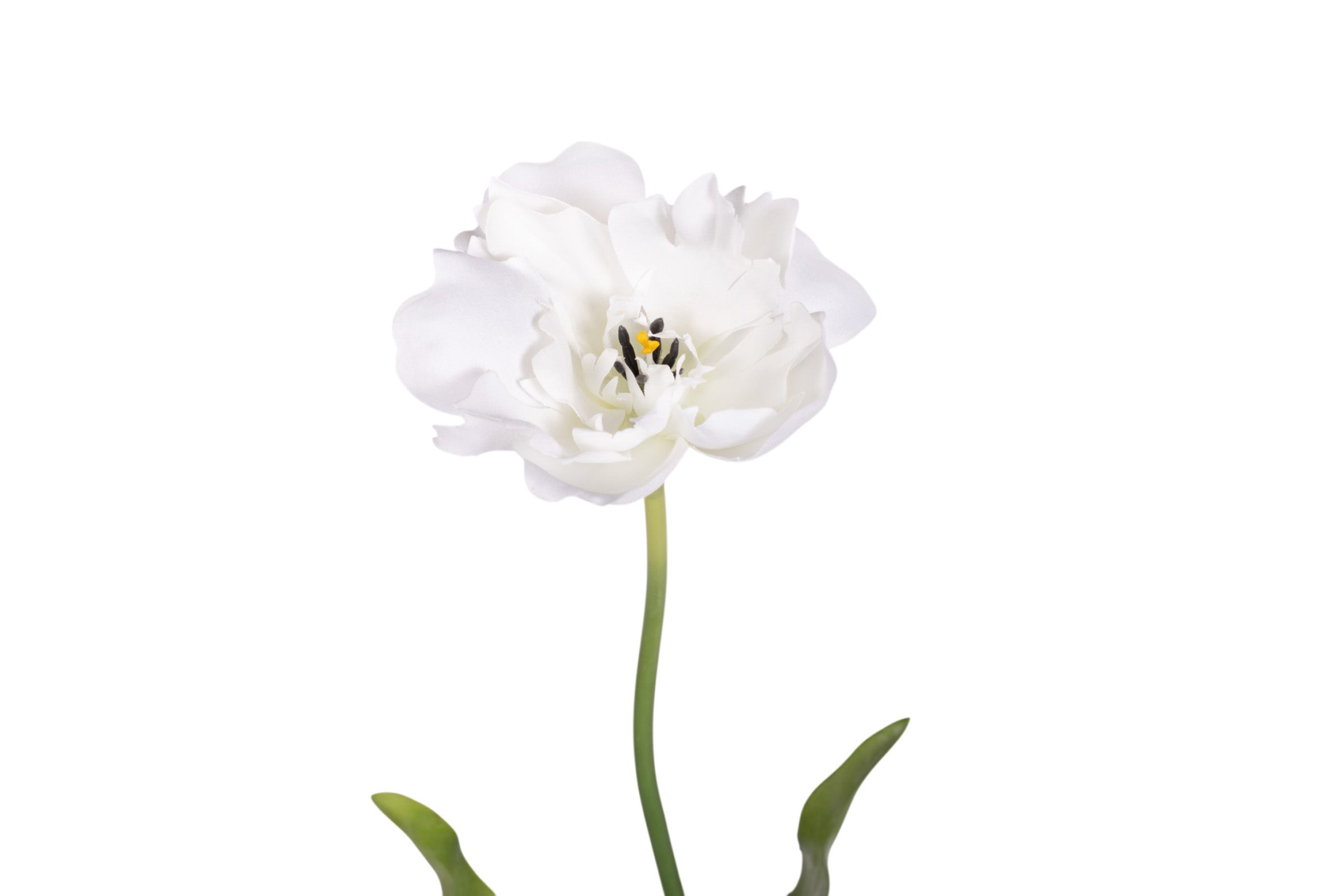 28" Parrot Tulip Stem FL1092