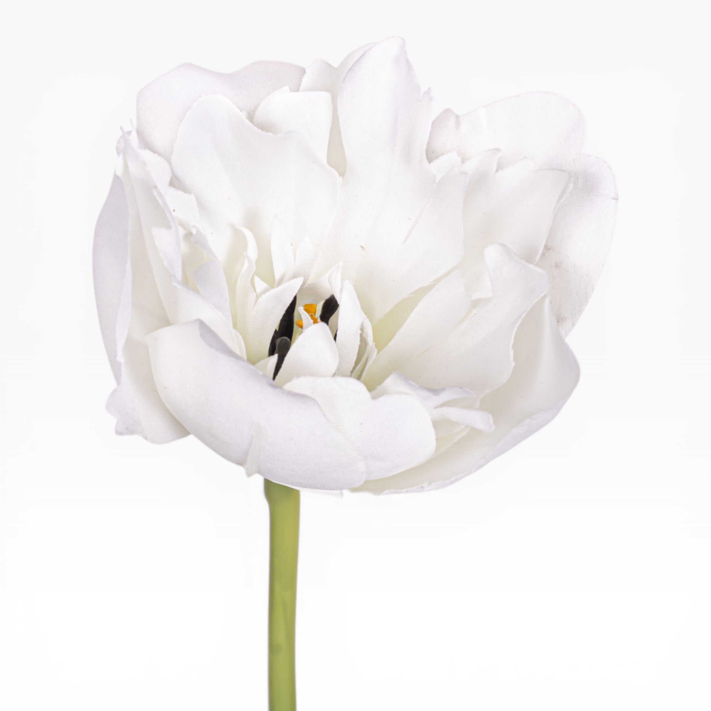 21" Parrot Tulip Stem FL1093