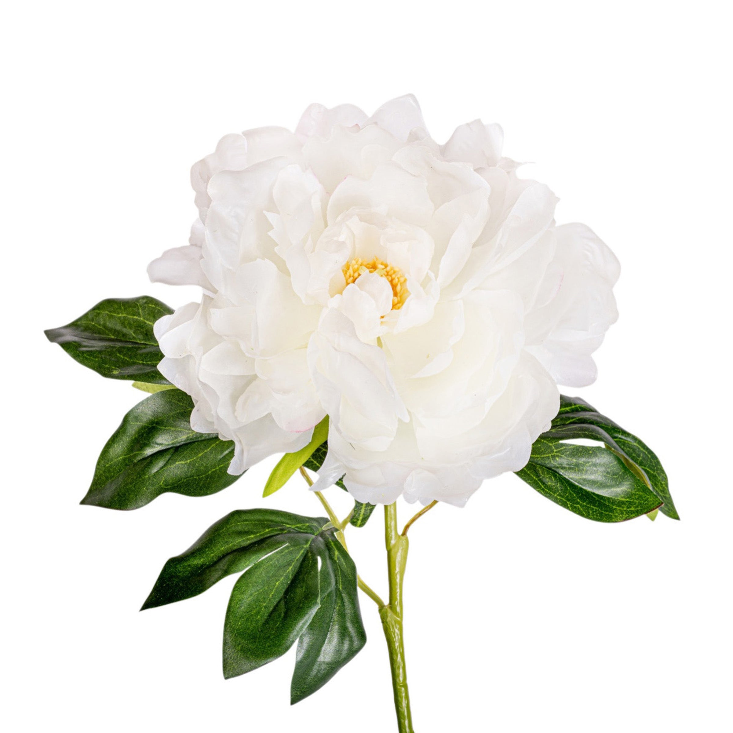 24" Peony Stem - White FL1096