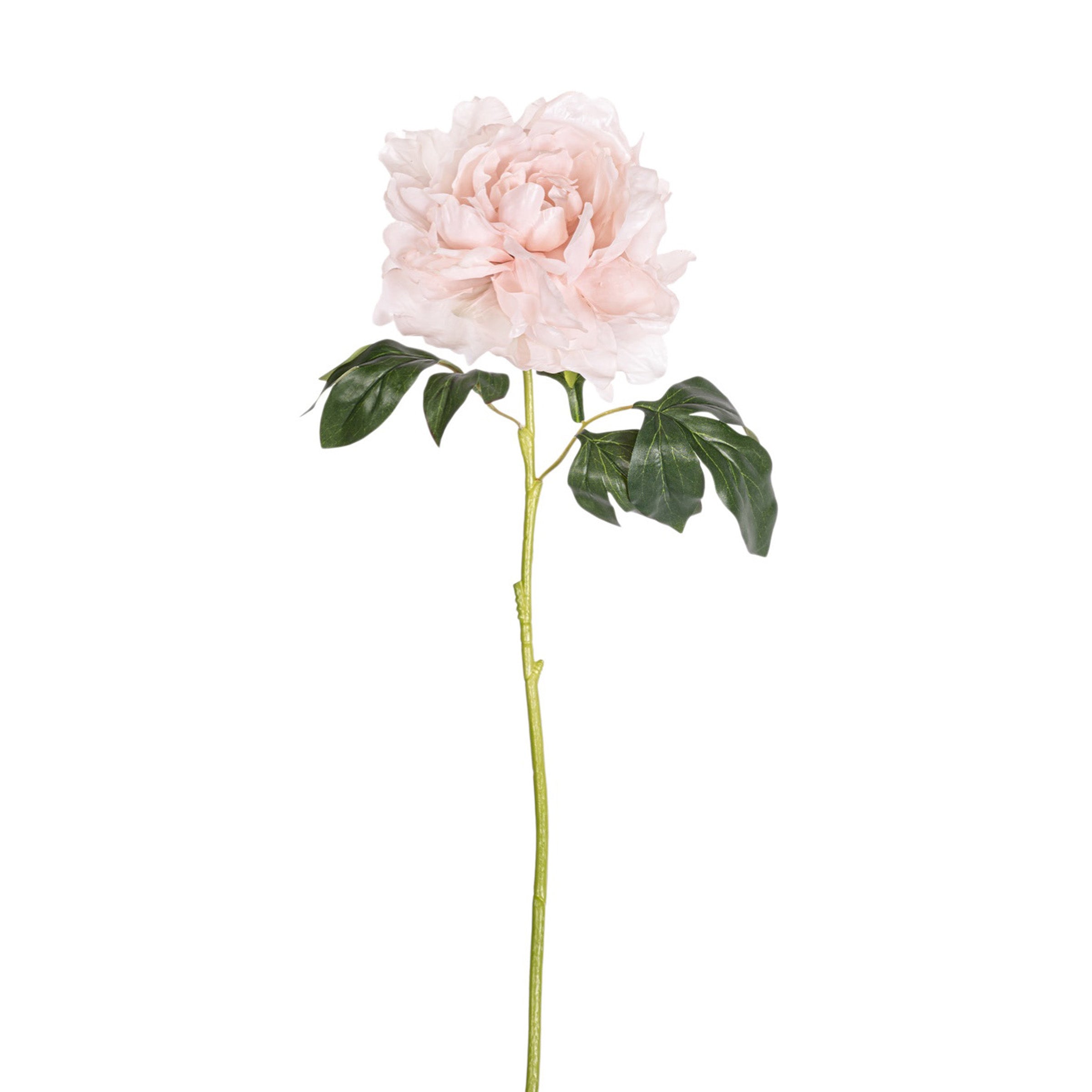 24" Peony Stem - Light Pink FL1097