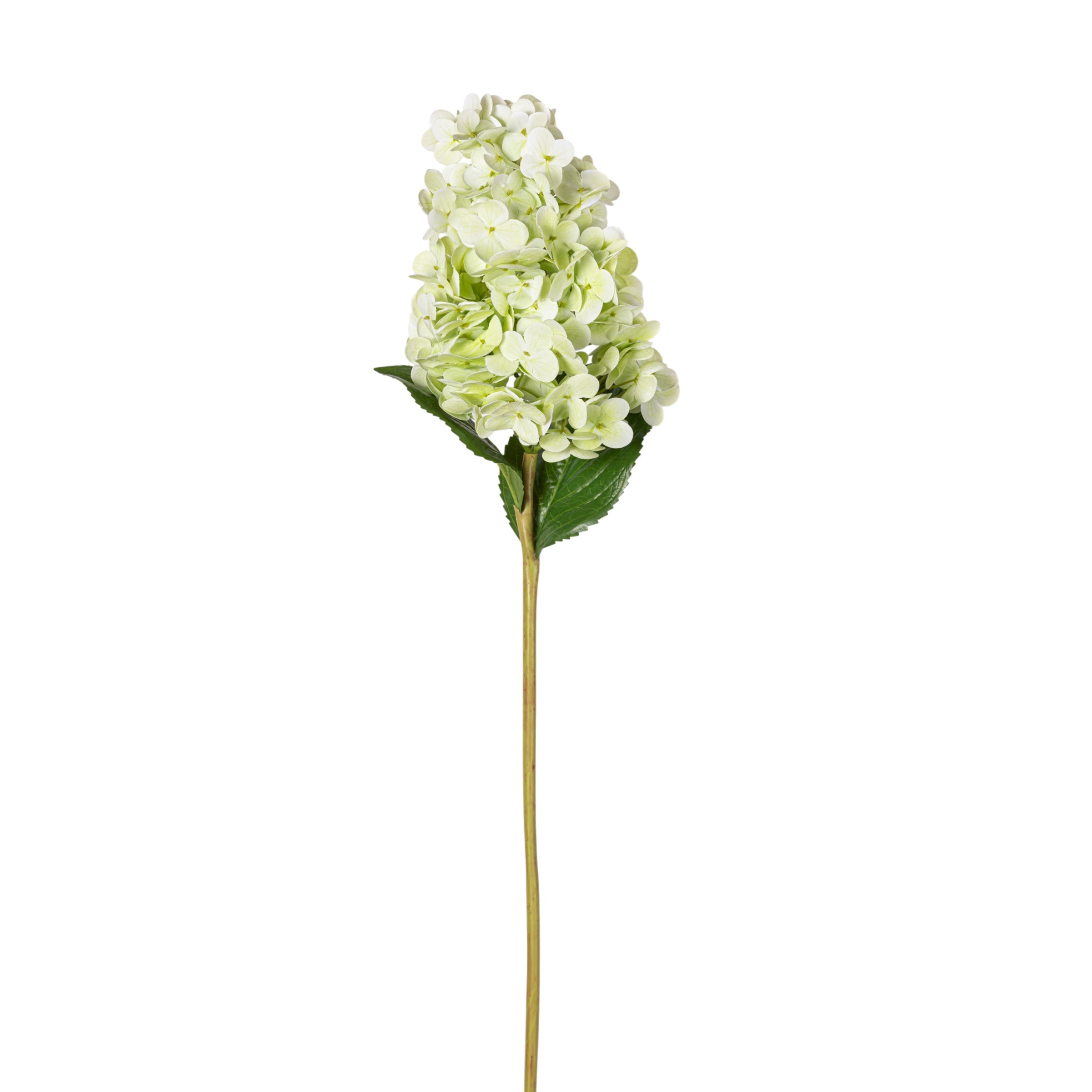28" Light Green Cone Hydrangea Stem - Real Touch FL1108