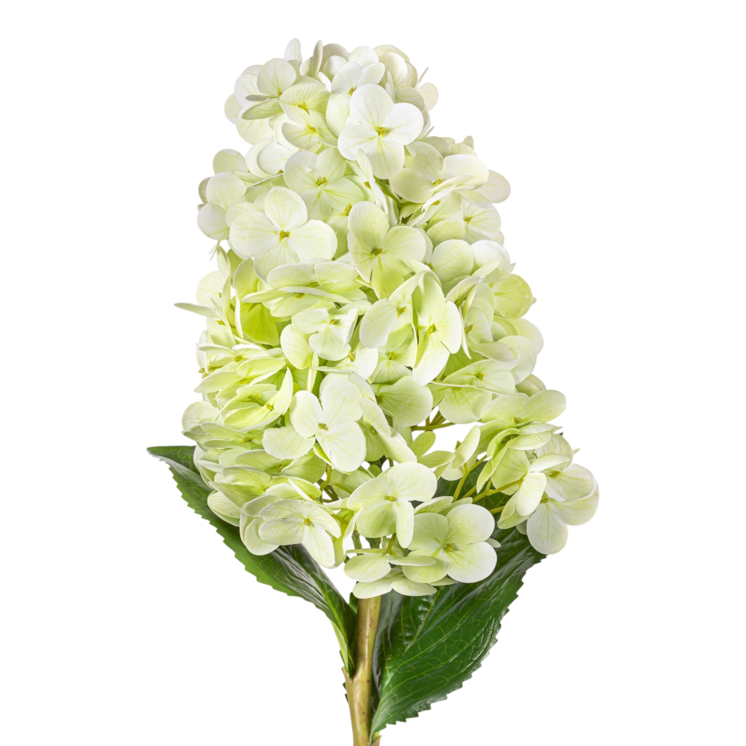 28" Light Green Cone Hydrangea Stem - Real Touch FL1108