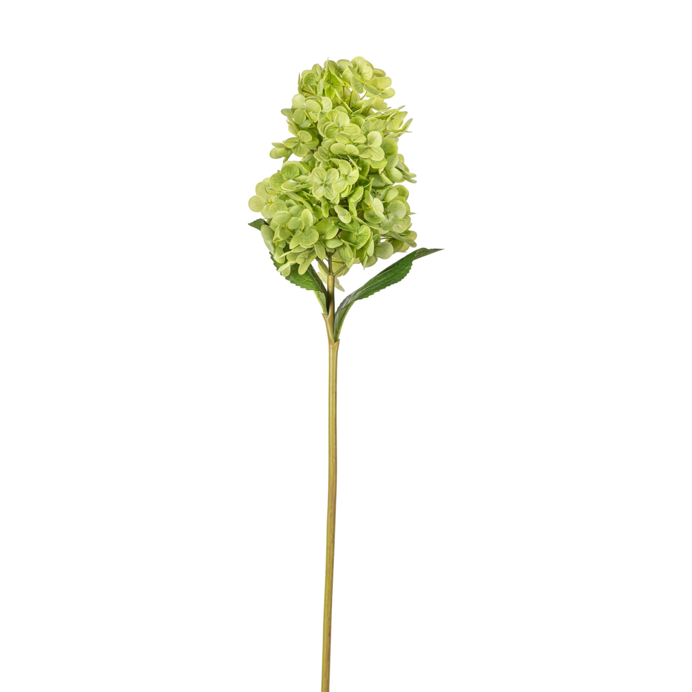 28" Green Cone Hydrangea Stem - Real Touch FL1109