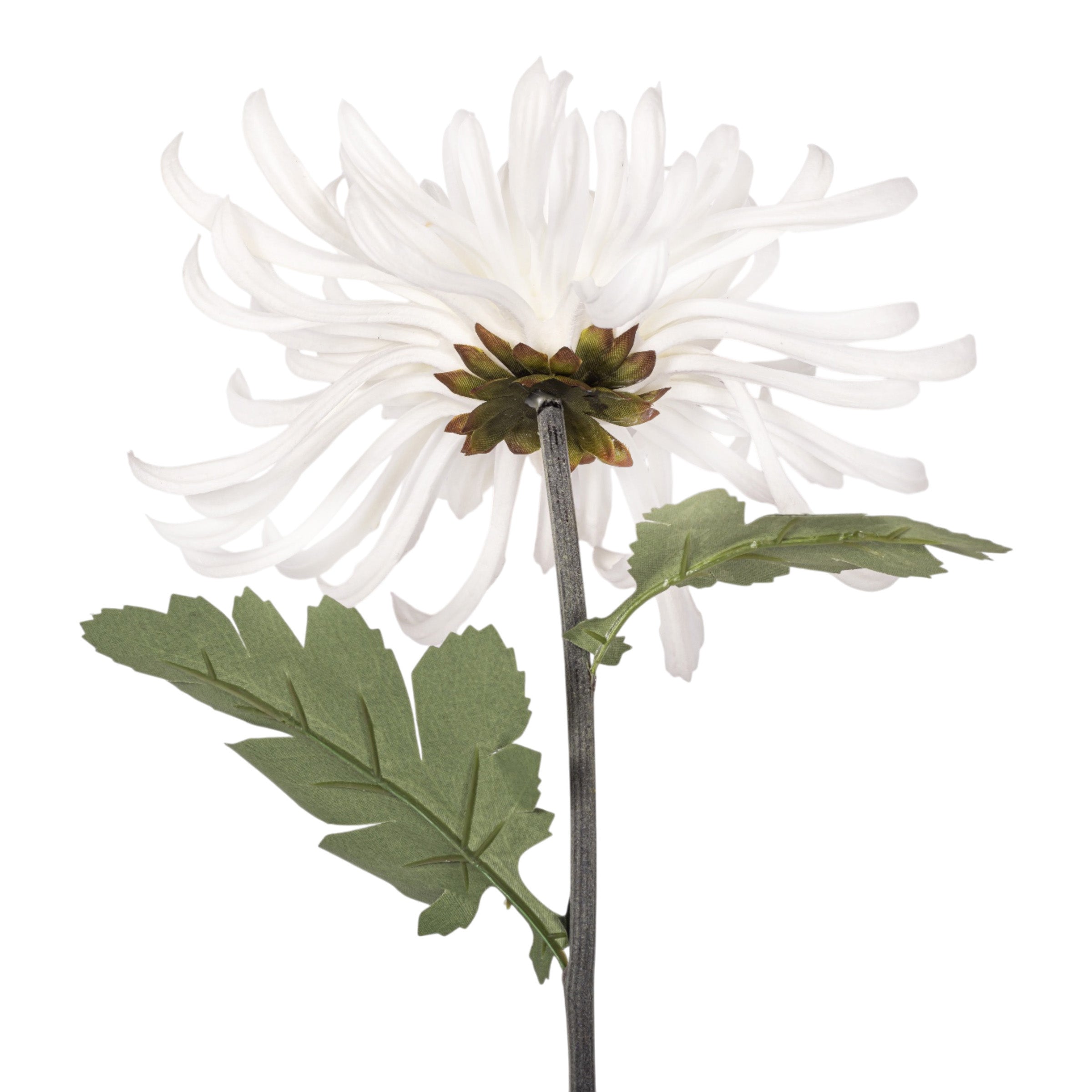 30" White Spider Mum Stem FL1110