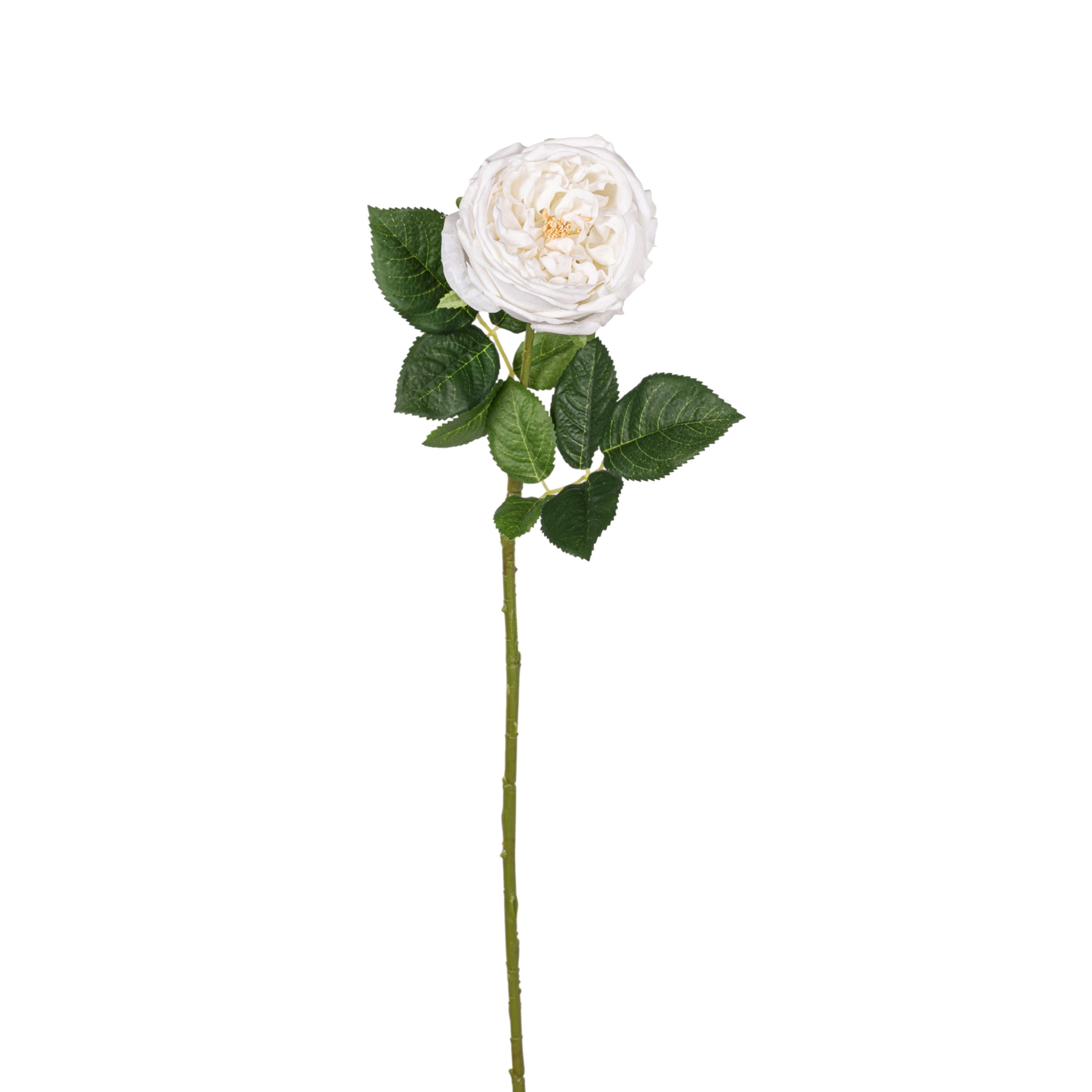 24" White Rose Stem - Real Touch FL1118
