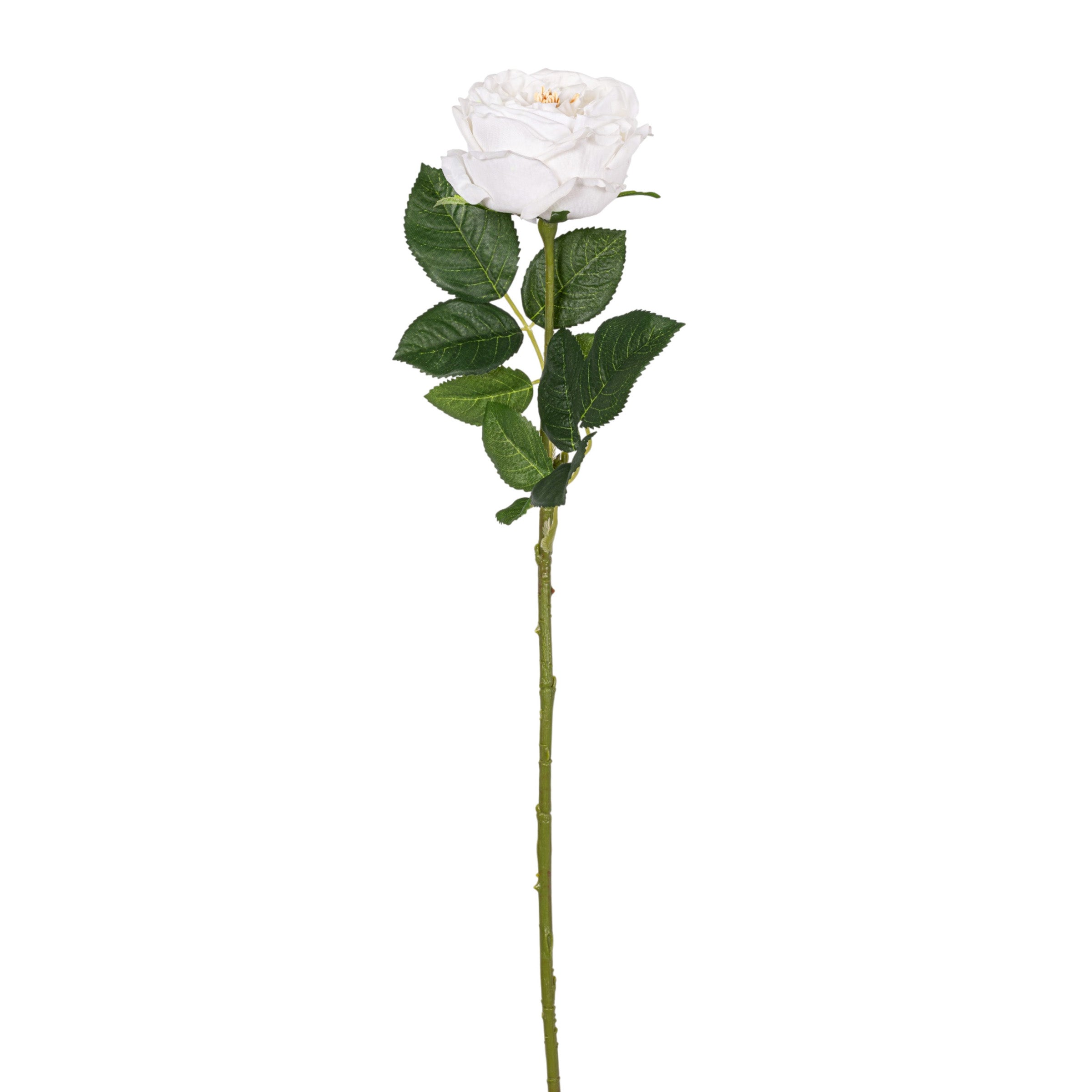 24" White Rose Stem - Real Touch FL1118