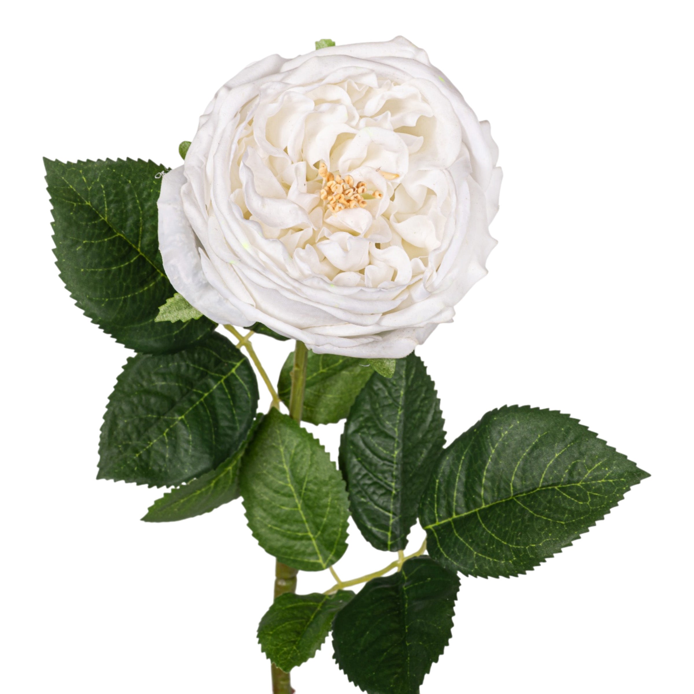 24" White Rose Stem - Real Touch FL1118