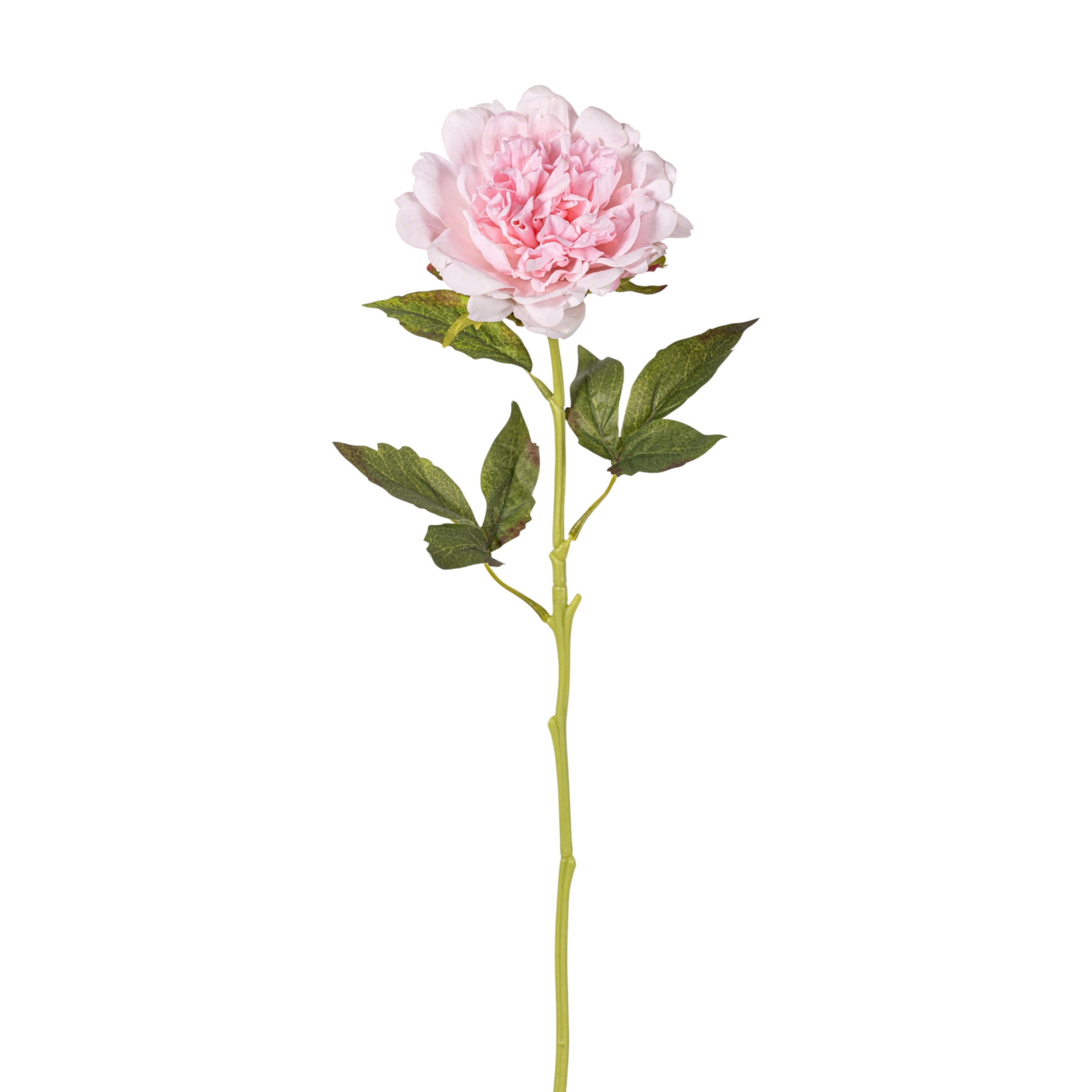 22" Pink Peony Stem - Real Touch FL1120