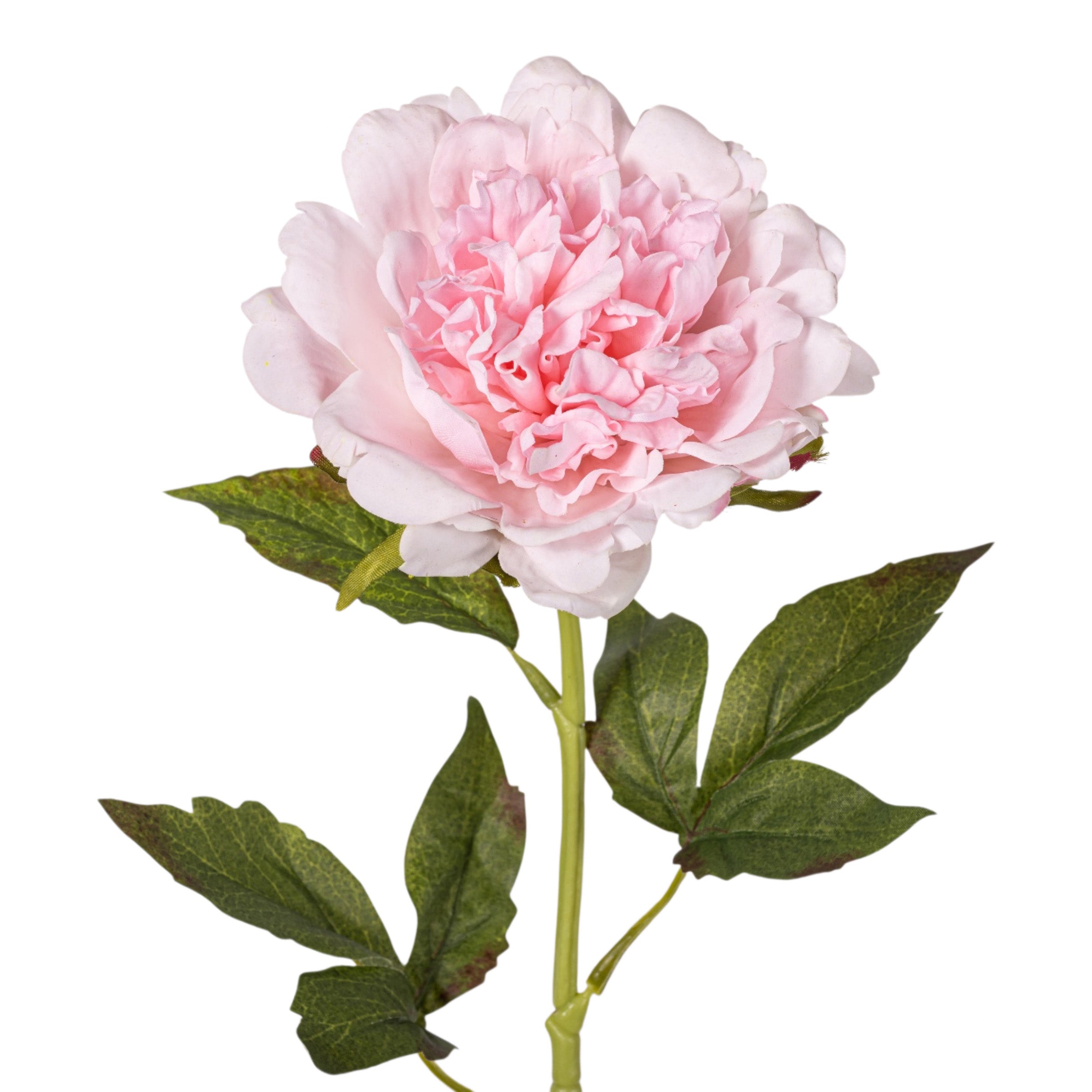 22" Pink Peony Stem - Real Touch FL1120