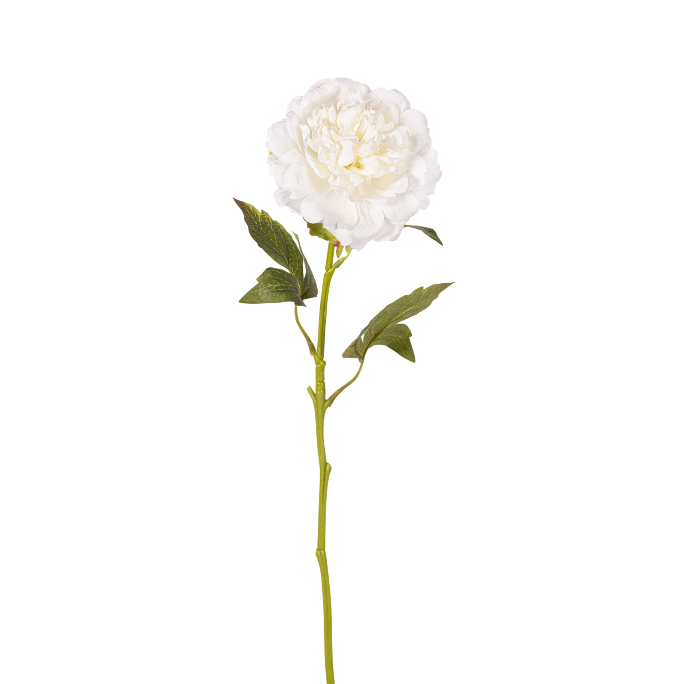 22" White Peony Stem - Real Touch FL1121