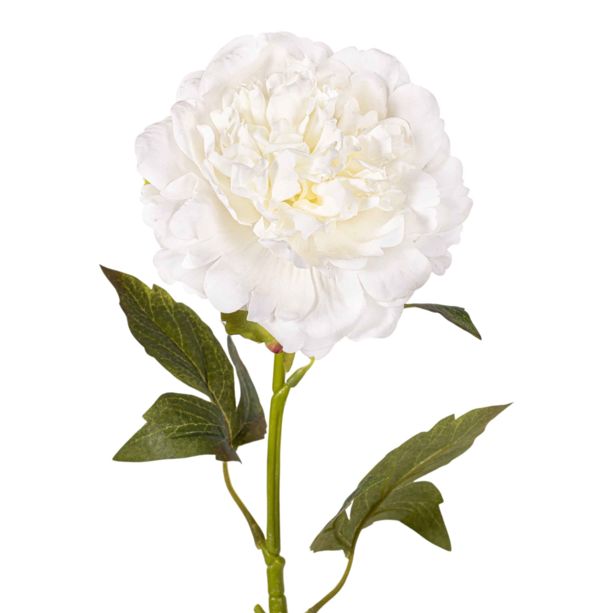 22" White Peony Stem - Real Touch FL1121