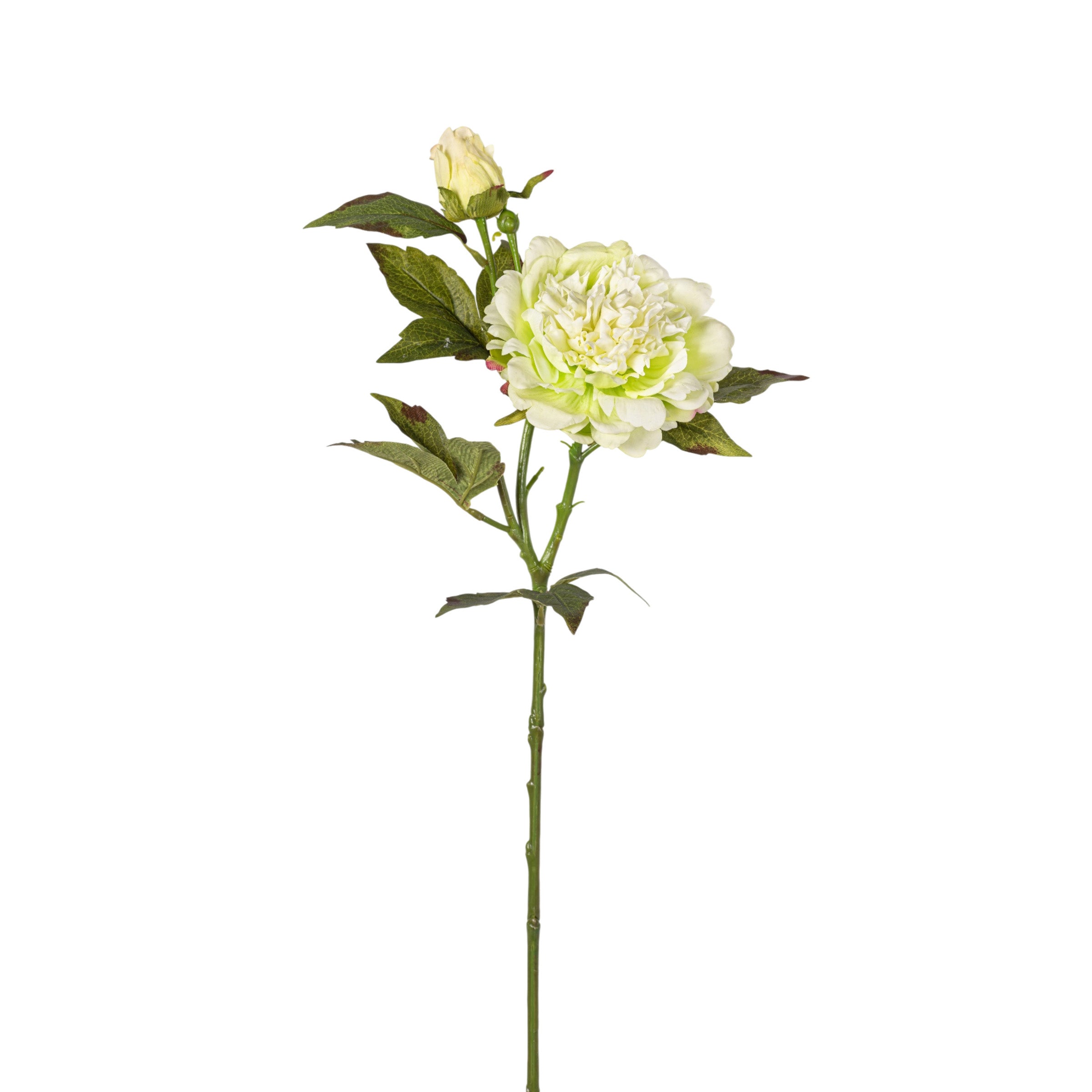 22" Green Peony Stem - Real Touch FL1122