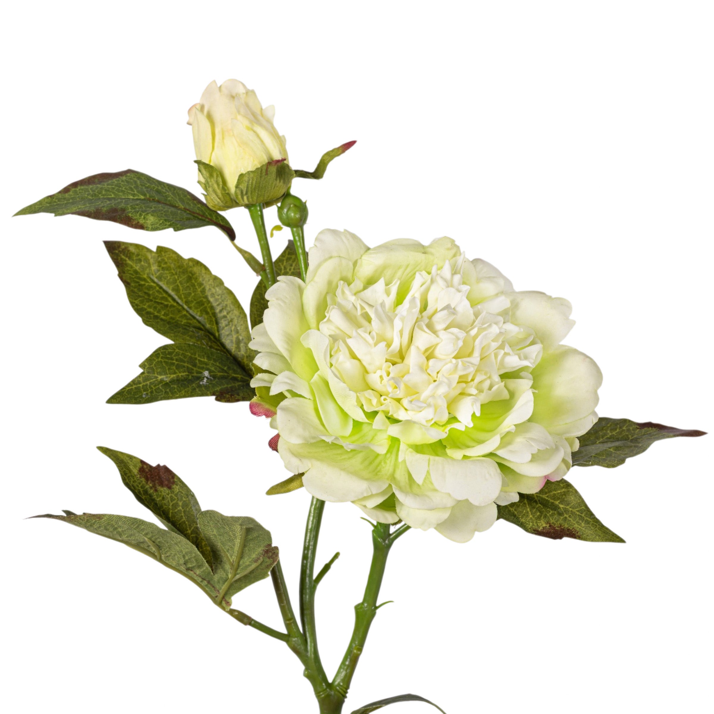 22" Green Peony Stem - Real Touch FL1122