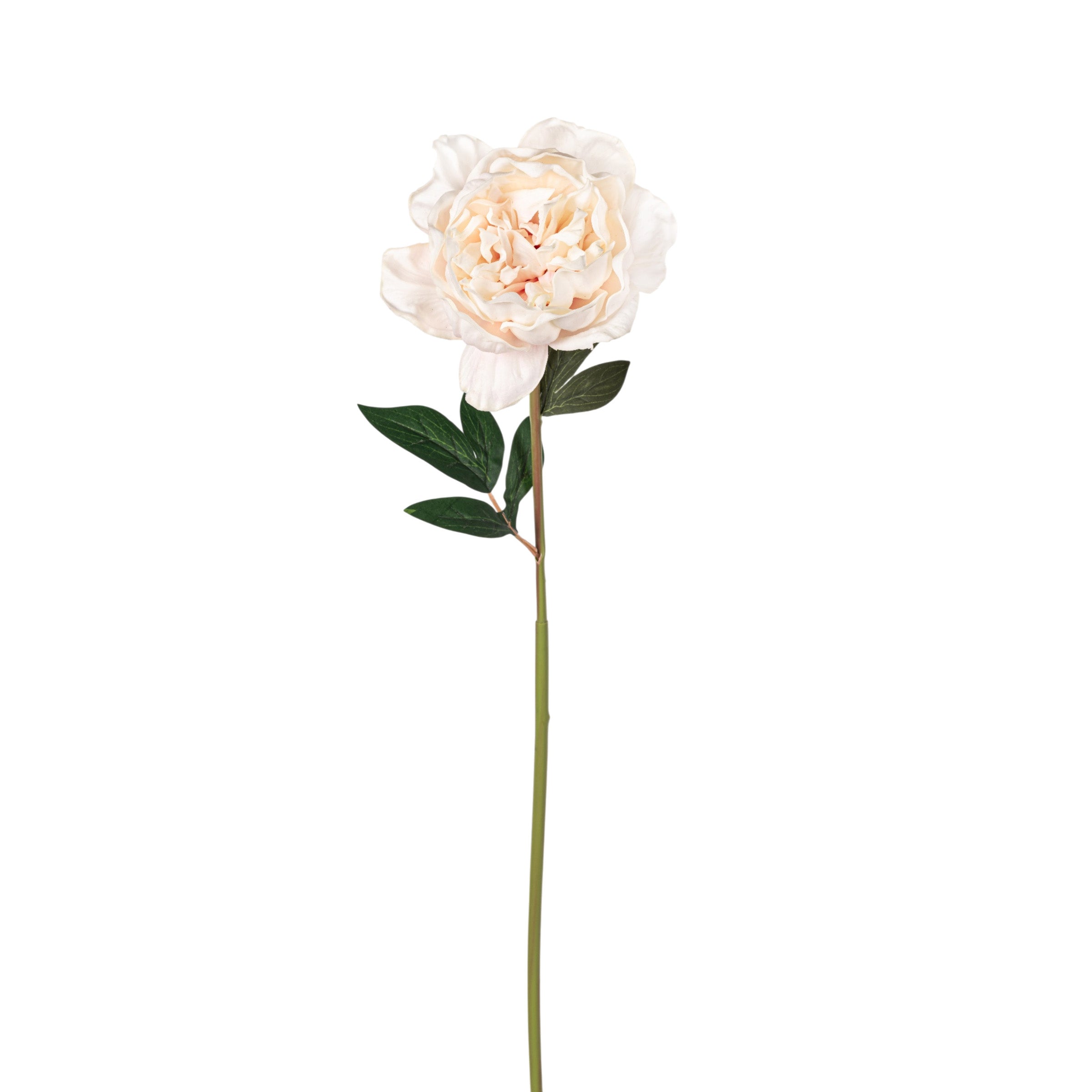 33" Blush Pink Peony Stem - Real Touch FL1124