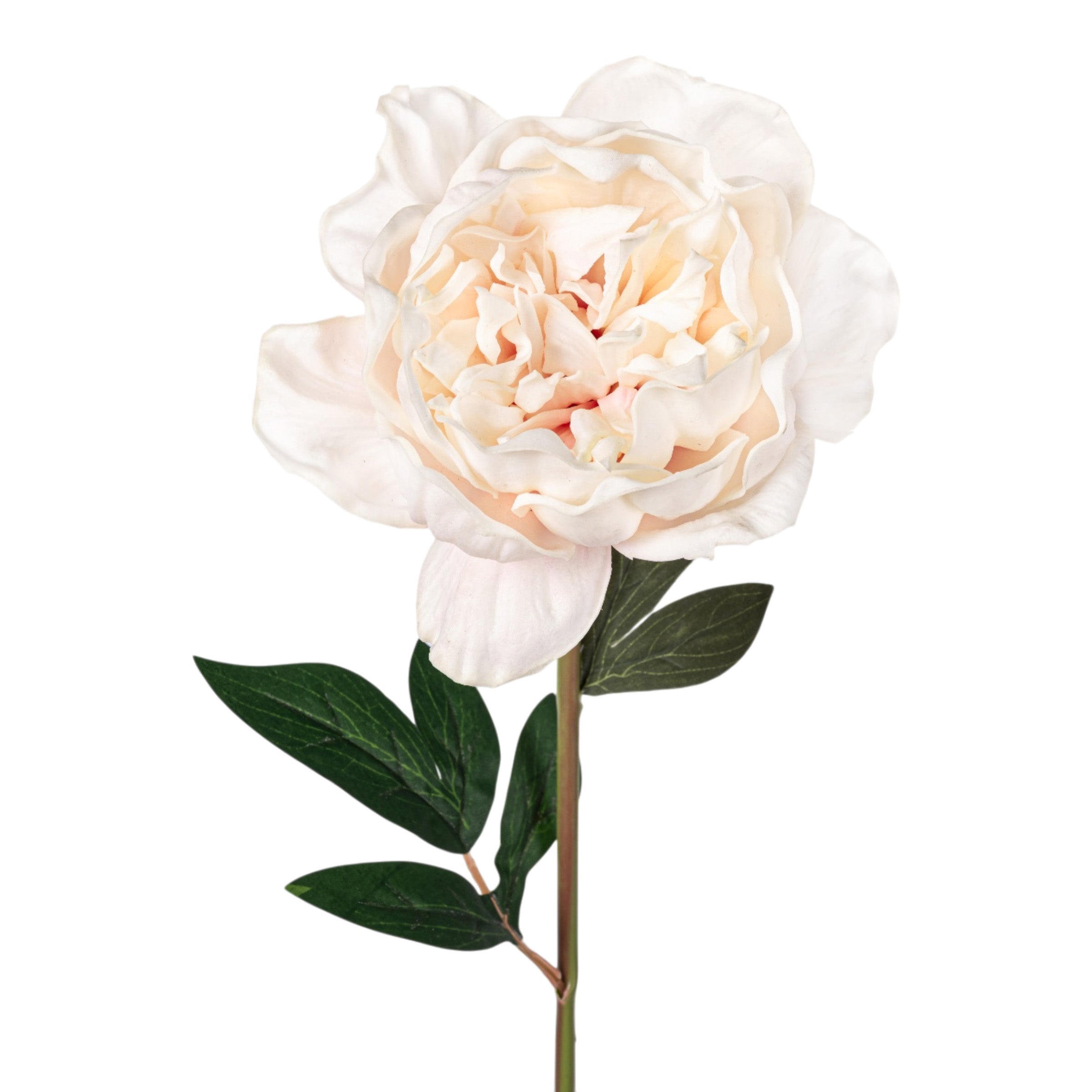 33" Blush Pink Peony Stem - Real Touch FL1124