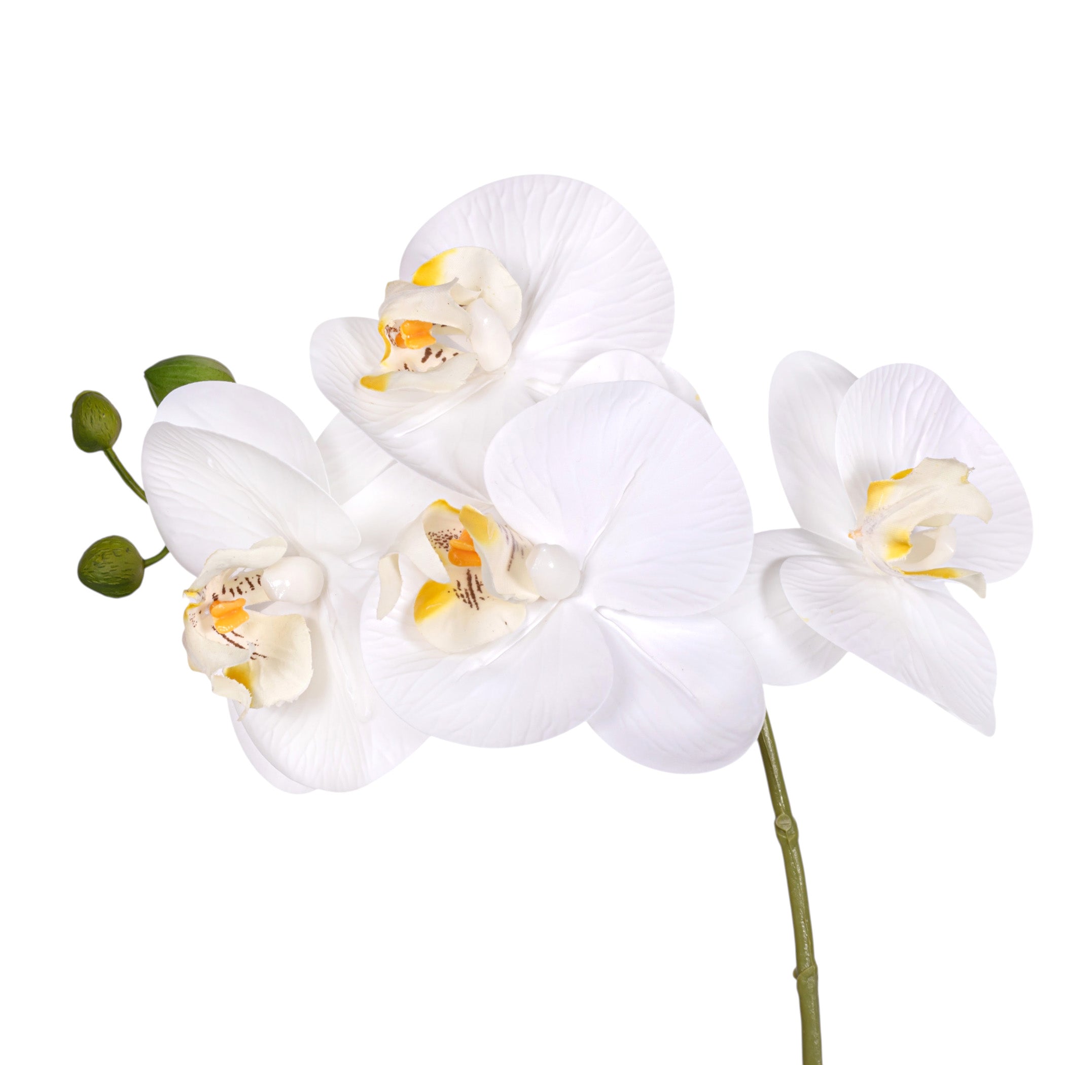 15" Real Touch White Phalaenopsis Orchid FL1137