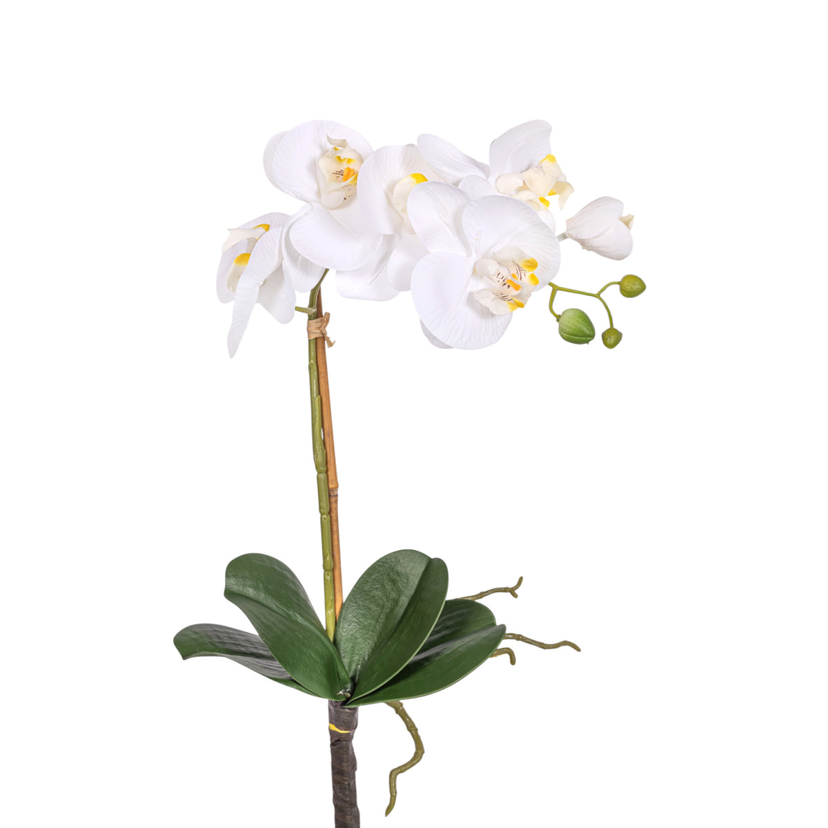 20" Real Touch White Phalaenopsis Orchid FL1139