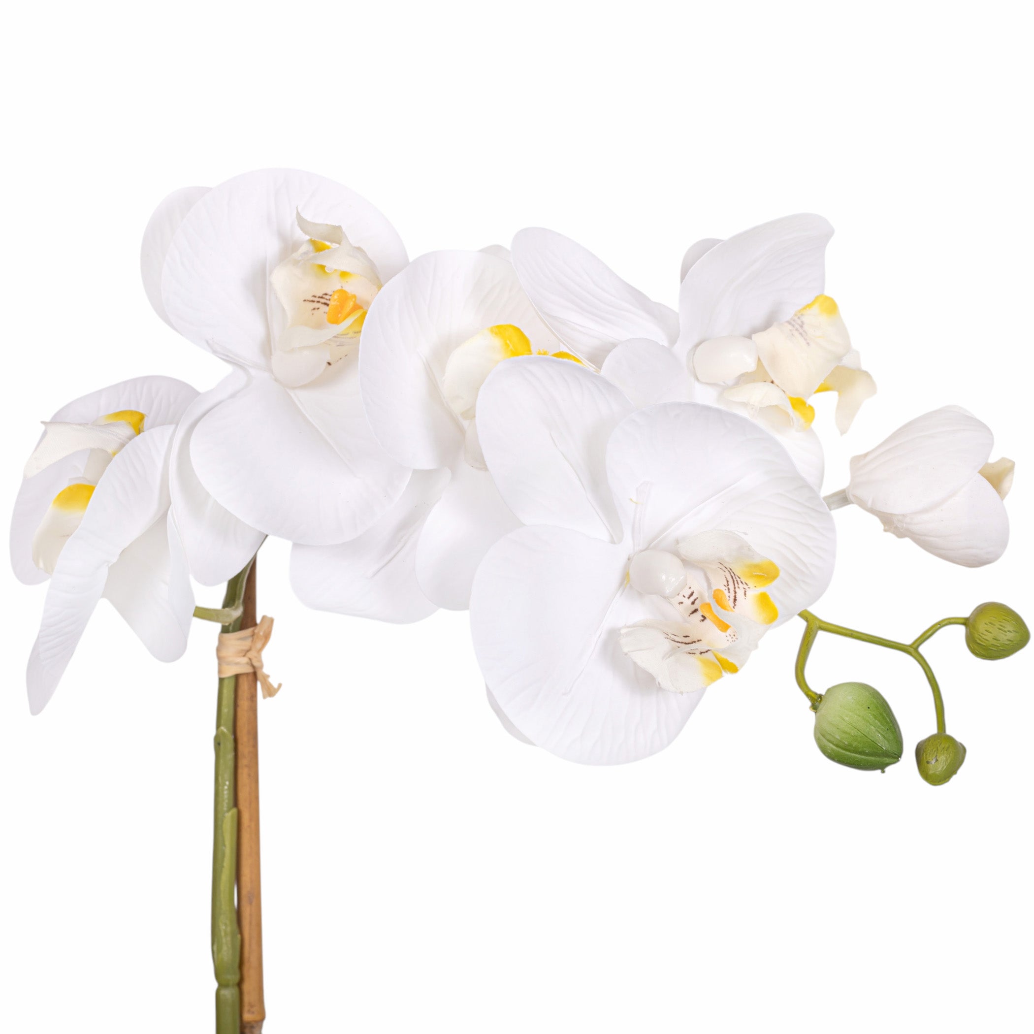 20" Real Touch White Phalaenopsis Orchid FL1139