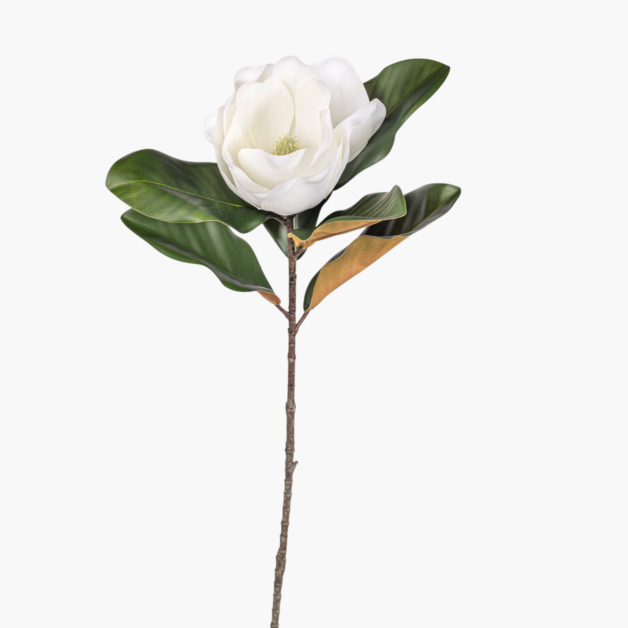 23" Real Touch White Magnolia Flower FL1140