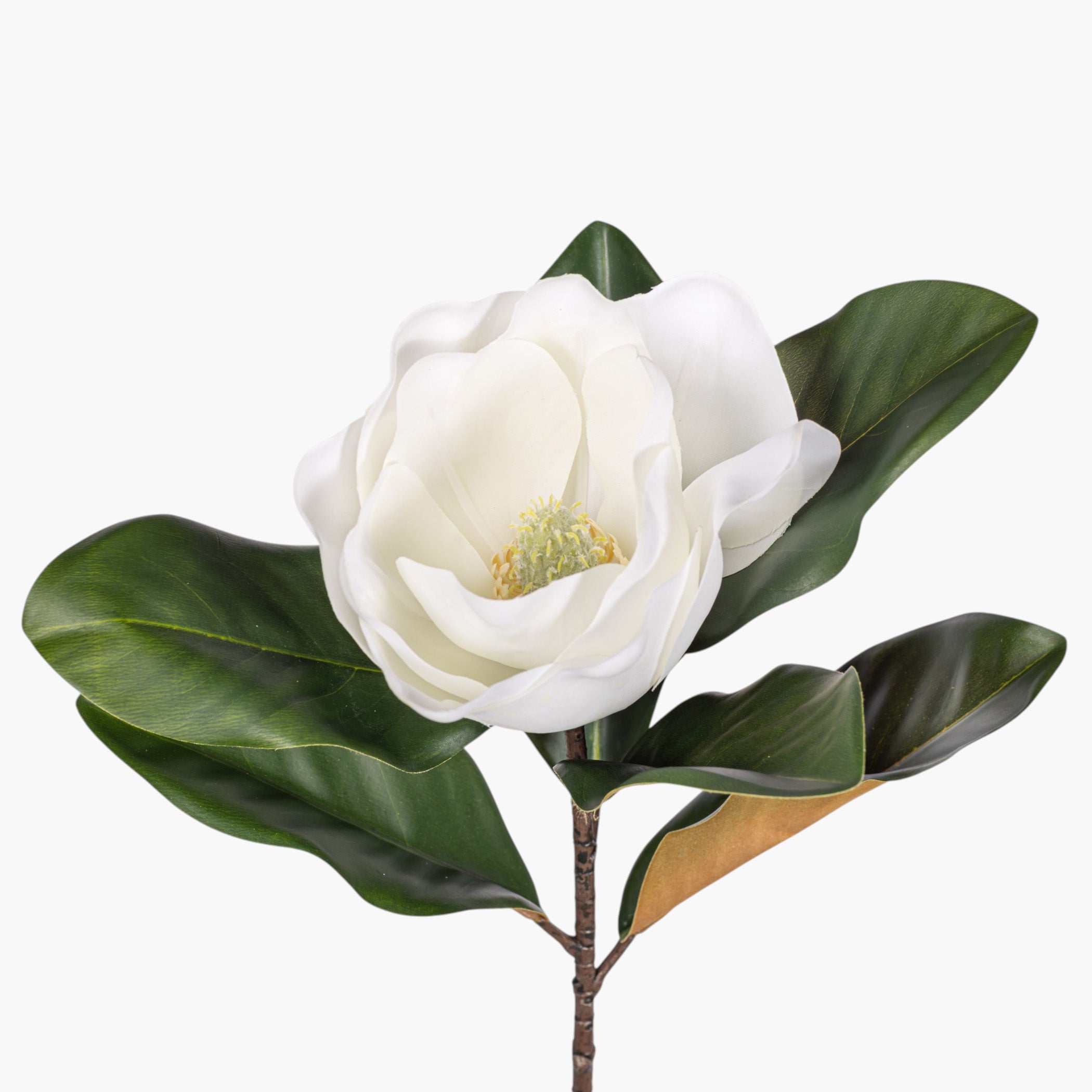 23" Real Touch White Magnolia Flower FL1140