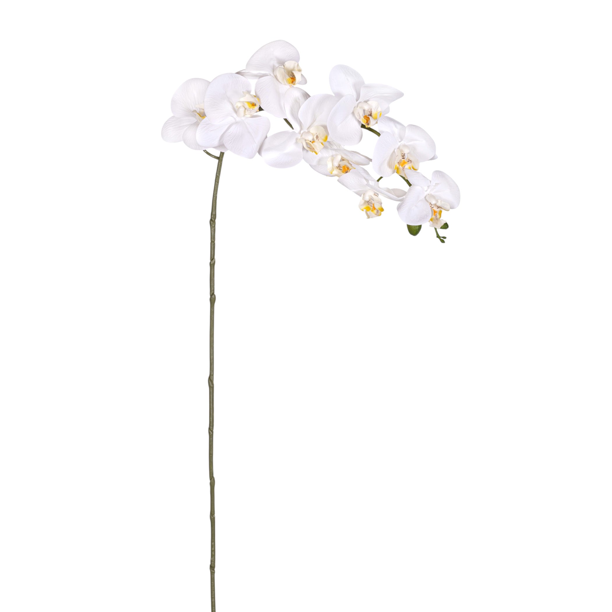 41" Real Touch White Phalaenopsis Orchid FL1142