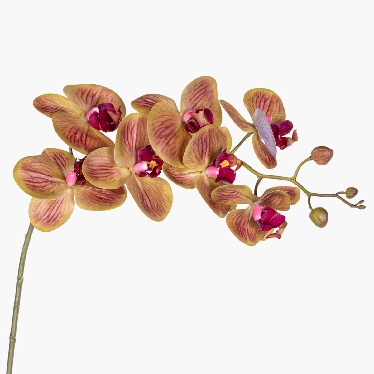 34" Real Touch Brown Phalaenopsis Orchid FL1143