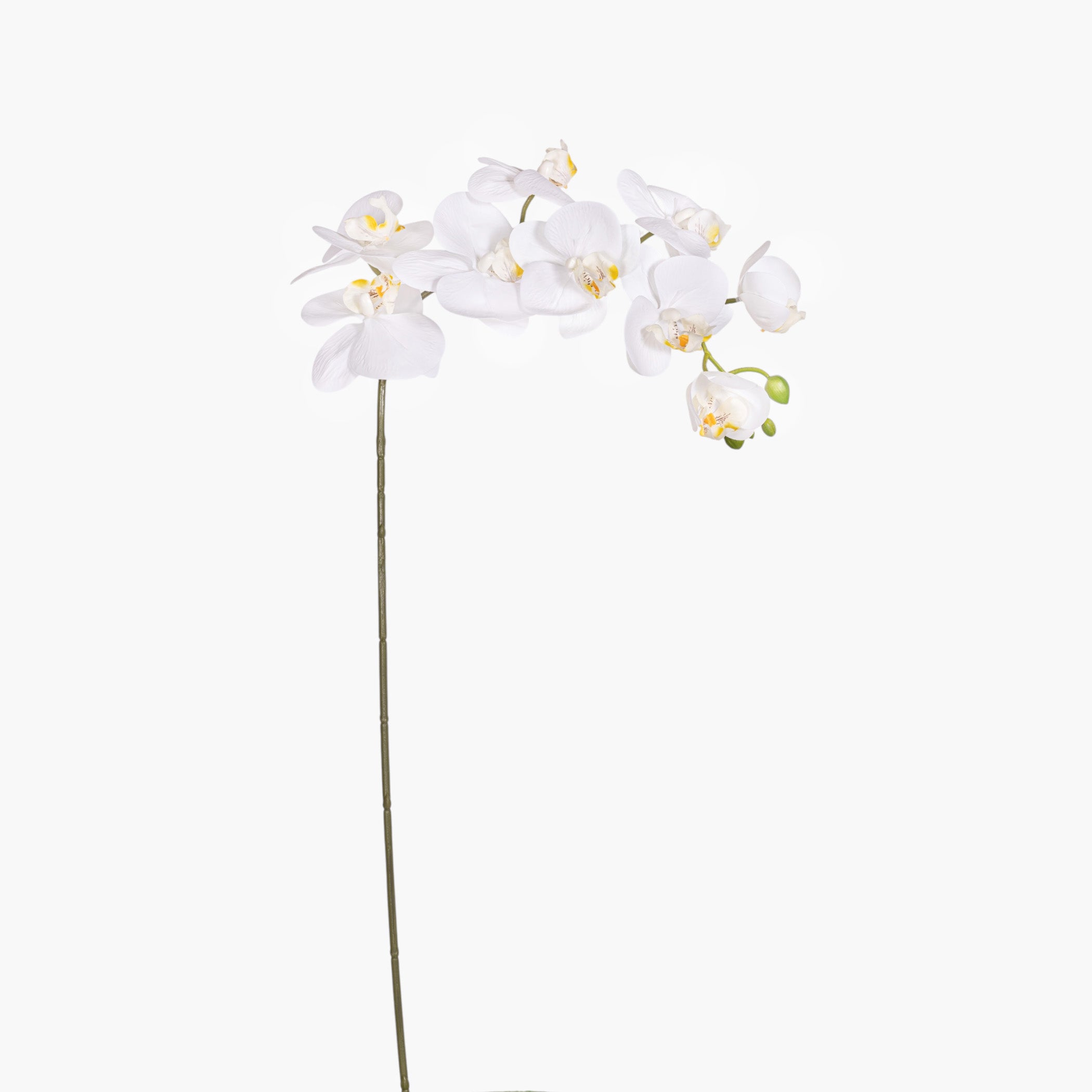 35" Real Touch White Phalaenopsis Orchid FL1144