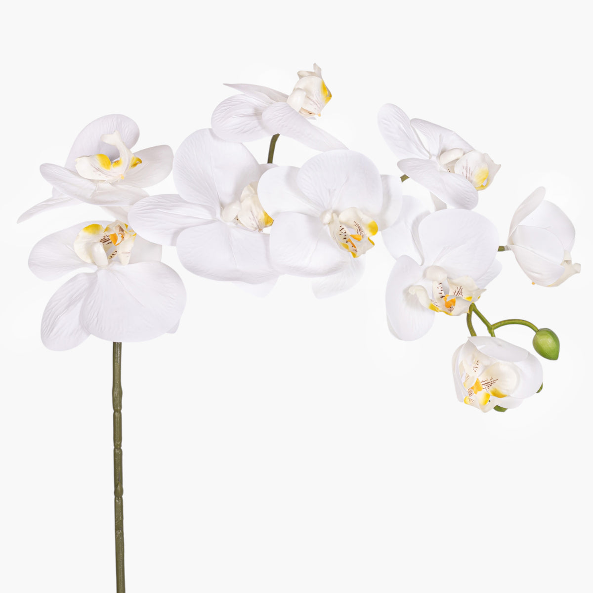 35" Real Touch White Phalaenopsis Orchid FL1144