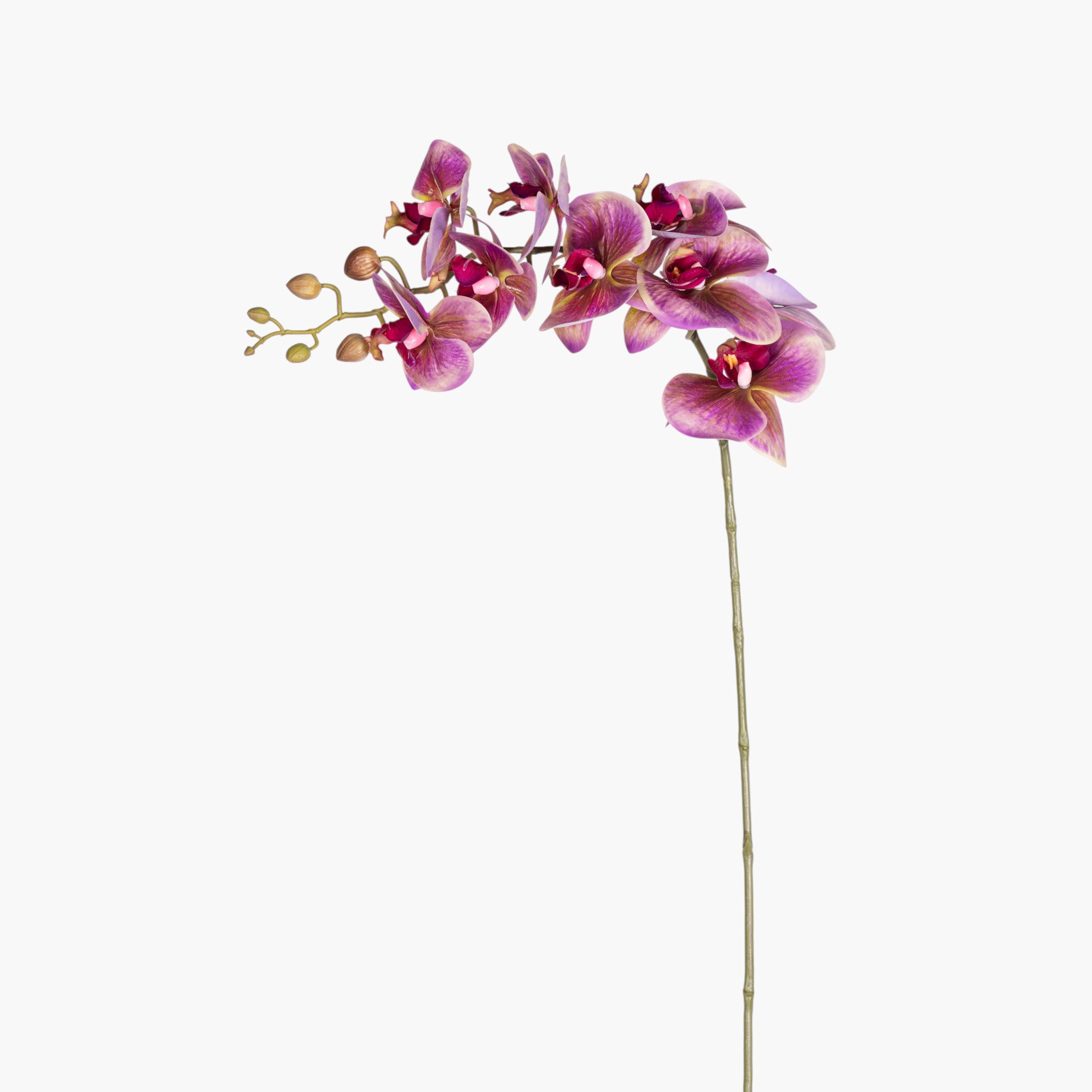 32" Real Touch Purple Phalaenopsis Orchid FL1146