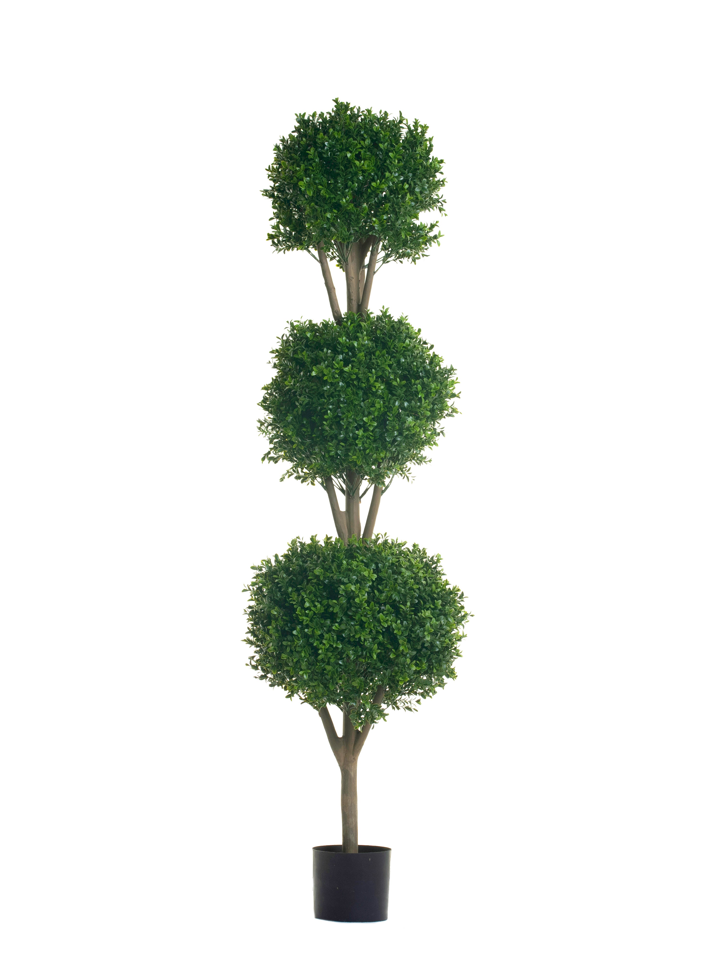 5.5' Boxwood Topiary- UV Treated FP1015 UV
