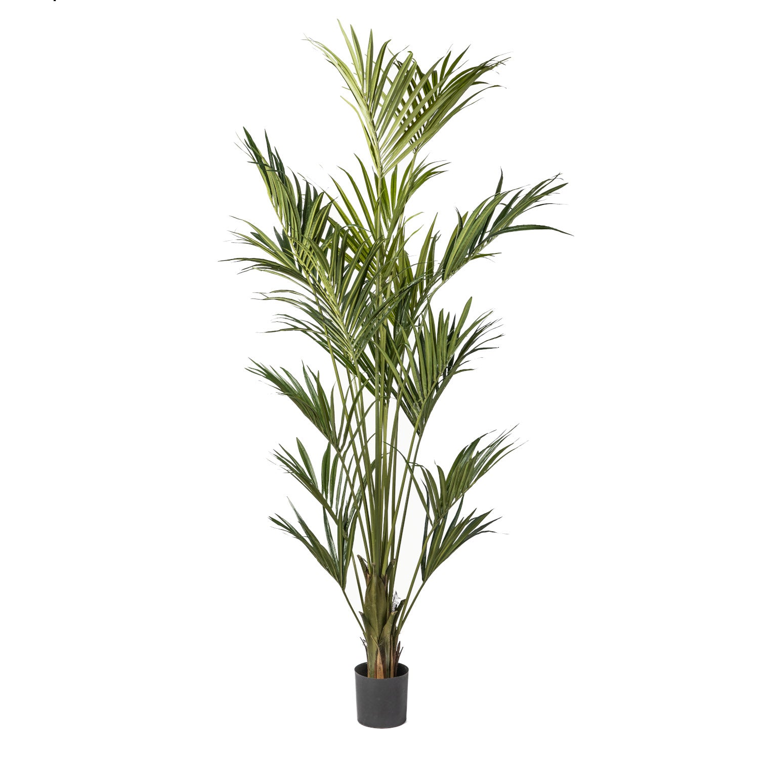8’ Kentia Palm Tree with 290 Leaves FP1174