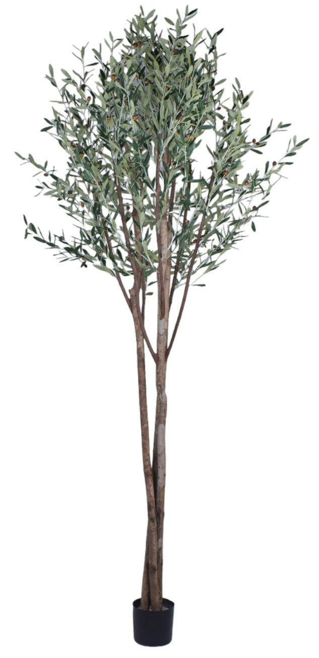 9.5’ UV Protected Olive Tree FP1265UV