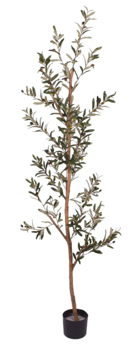 6’ UV Protected Thin Olive Tree FP1272UV
