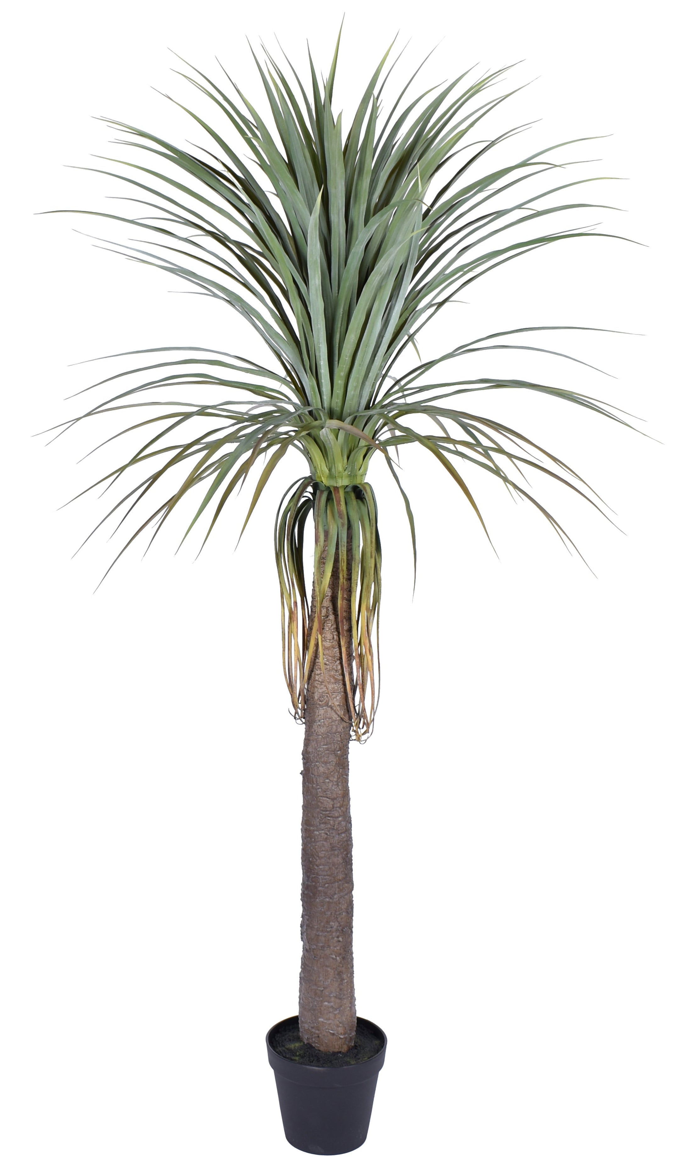 6.5' UV Protected Mezcal Plant FP1273UV